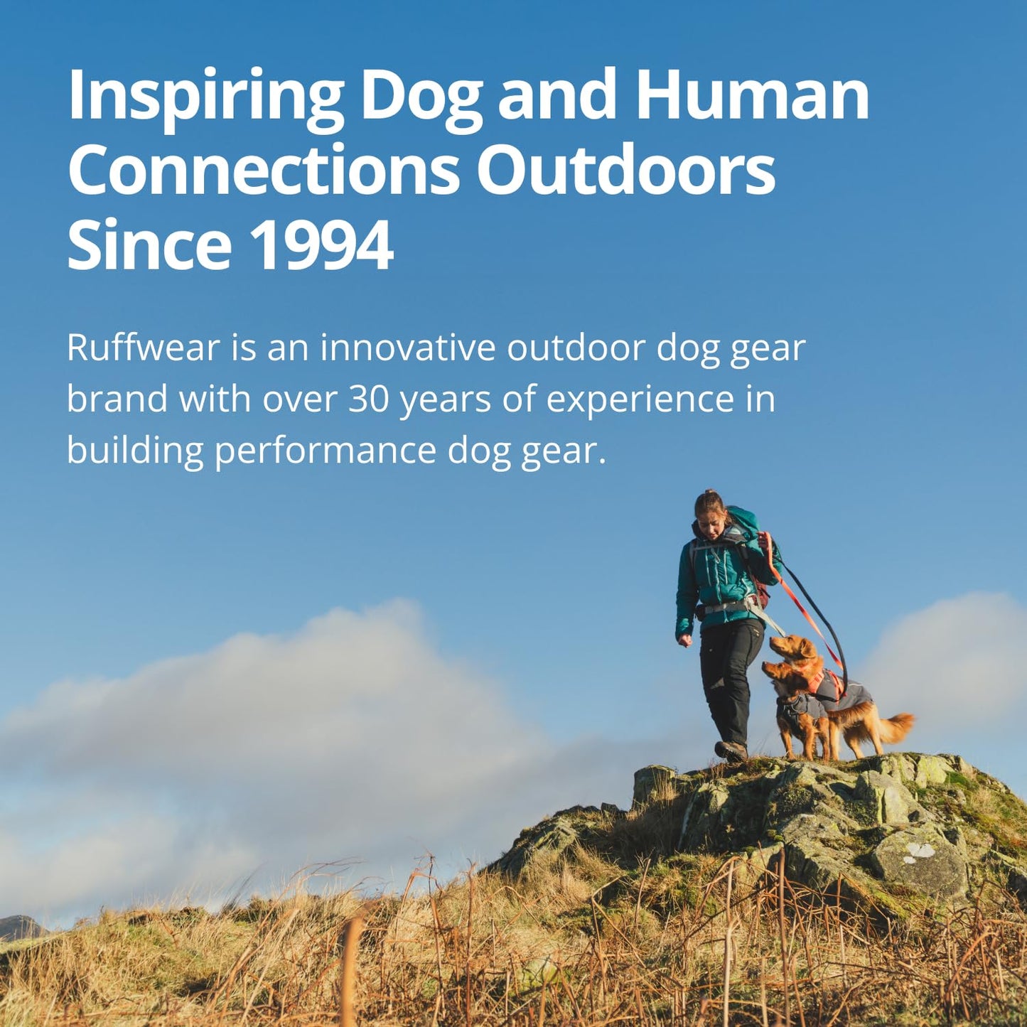 Ruffwear, Switchbak Dog Leash, Convertible & Adjustable Lead for Everyday Use, Basalt Gray