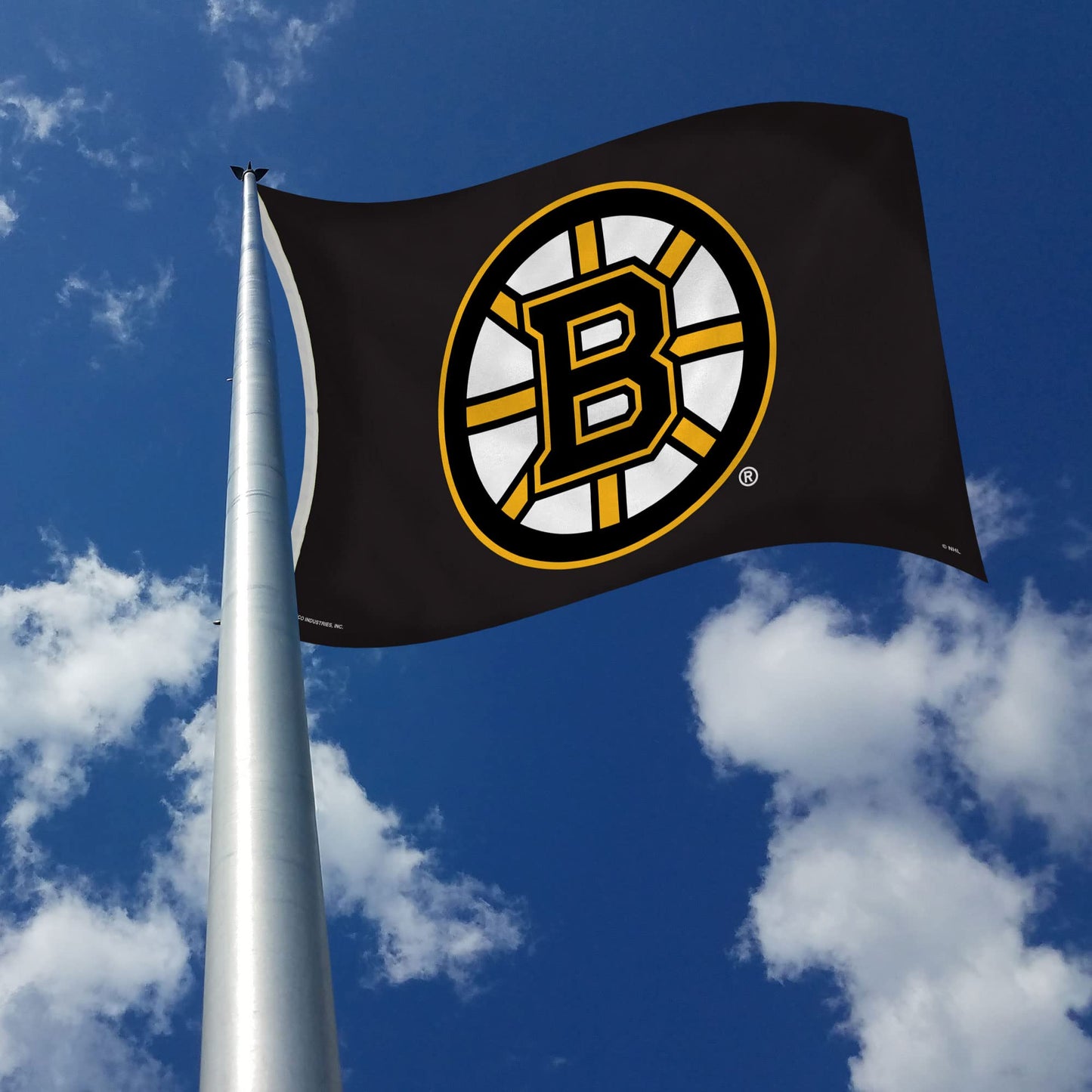 Rico Industries RPHKYBOSBA NHL Boston Bruins 3-Foot by 5-Foot Single Sided Banner Flag with Grommets