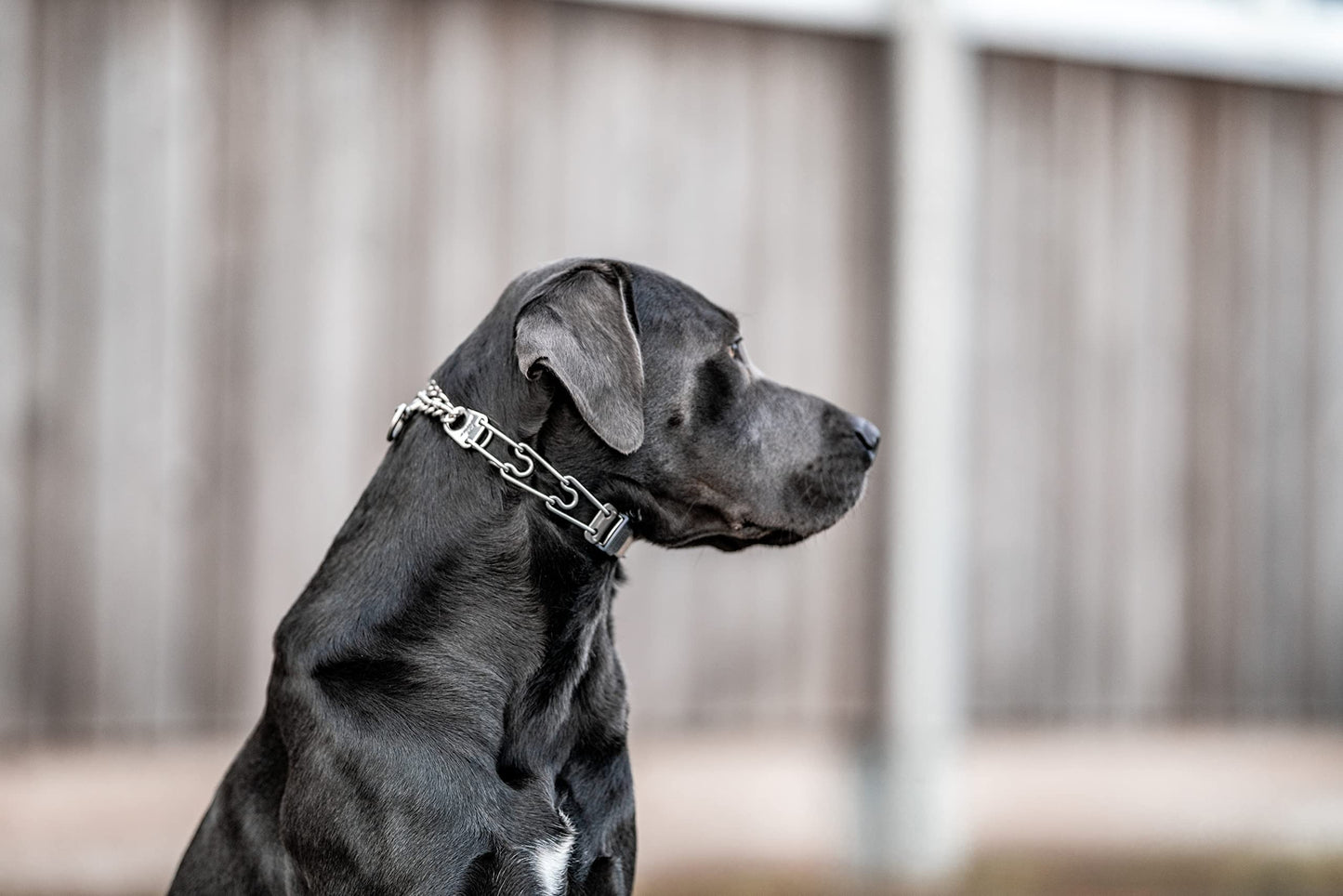 HS HERM. SPRENGER GERMANY Dog Training Prong Collar with Quick Release Cliclock Buckle and Swivel Ring | Adjustable Length Stainless Steel Made in for Large Dogs, 25in (up to 20'' neck) x 3.2mm Links