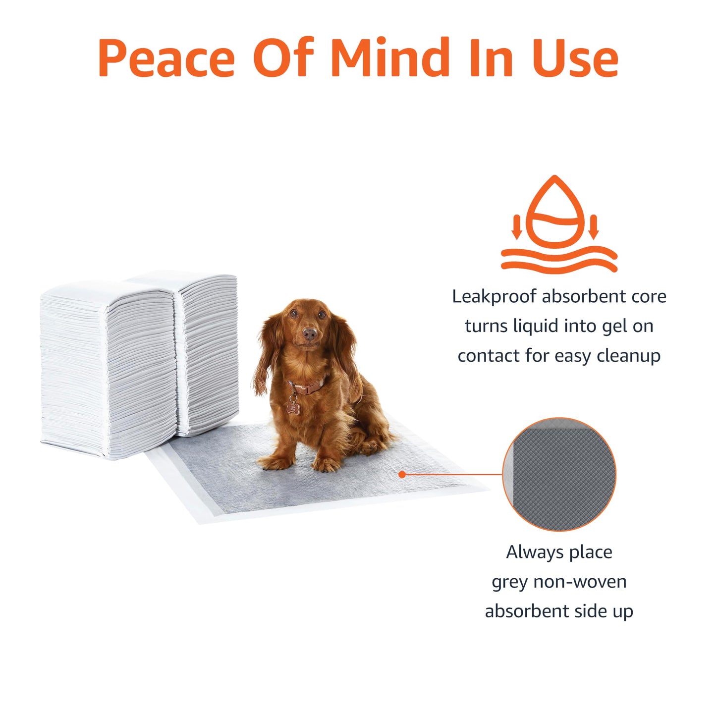 Amazon Basics Dog and Puppy Pee Pads with 5-Layer Leak-Proof Design and Super Absorbent Surface for Potty Training, Odor-Control Carbon, Regular Size, 22 x 22 Inch - Pack of 120, Gray