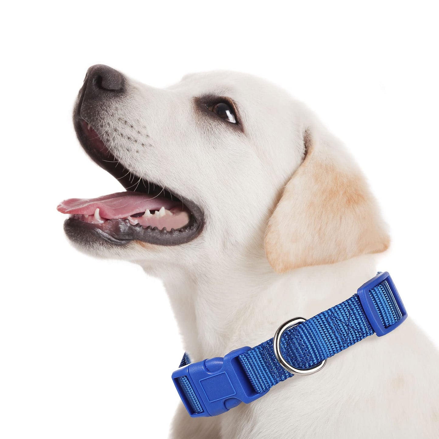 9 Pieces Adjustable Dog Collar for Animal, Soft Nylon Pets Puppy Collar with Quick Release Buckle Holder Bulk for Dogs Walking Running Training(Medium,Retro Colors)