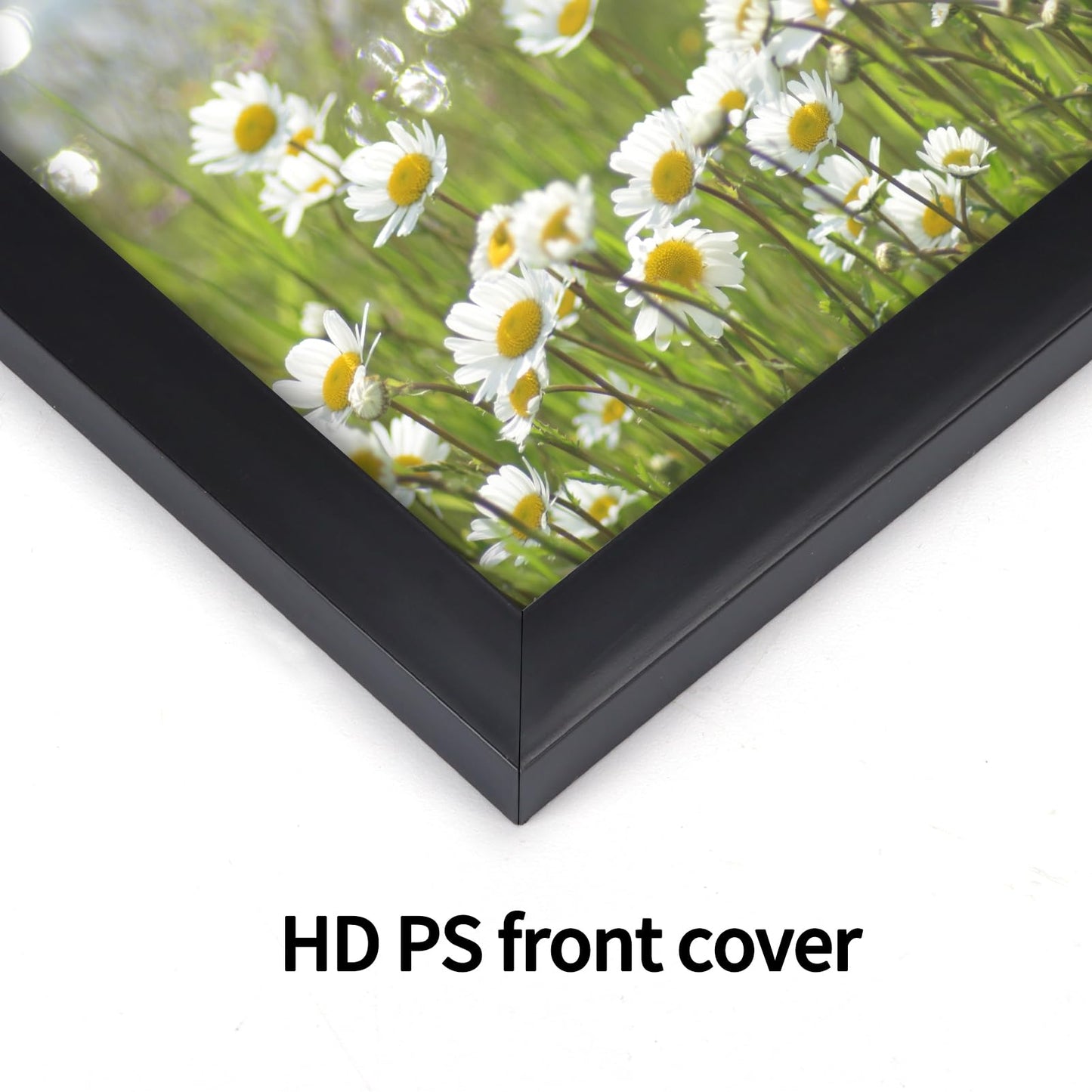 Giftgarden 12x18 Picture Frames Black Poster Frame Set for 12 x 18 Photograph, Wall Mounting, Set of 7
