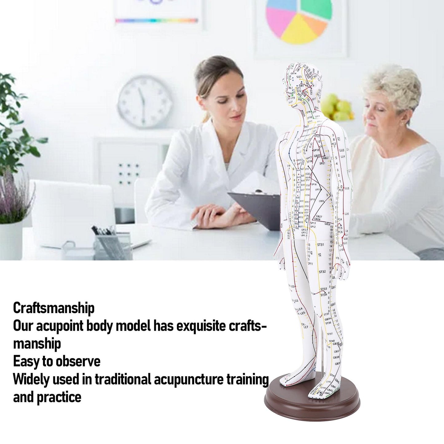 52cm Human Body Acupuncture Model, Male/Female Chinese Teaching Acupoint Mannequin Pressure Point Acupuncture Model with Base, for Student Teaching Demonstration (Female)