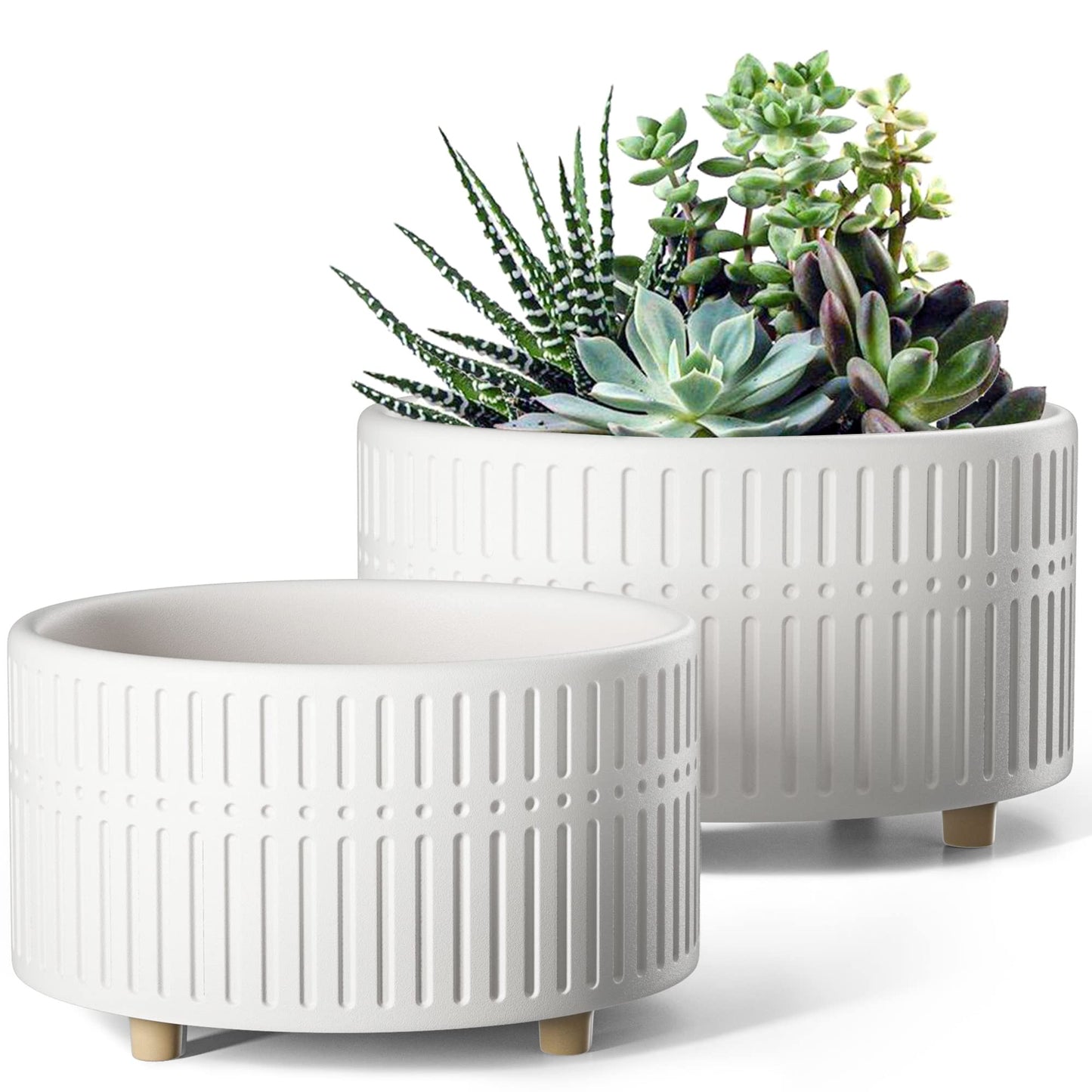 LE TAUCI Succulent Pot, Set of 2, 6.5+8 Inch Ceramic Plant Pots, Shallow Planters for Indoor Plants, Plant Pots Indoor with Drainage Hole, Modern Round Pot Plante Interieur, Gifts for Mom, White