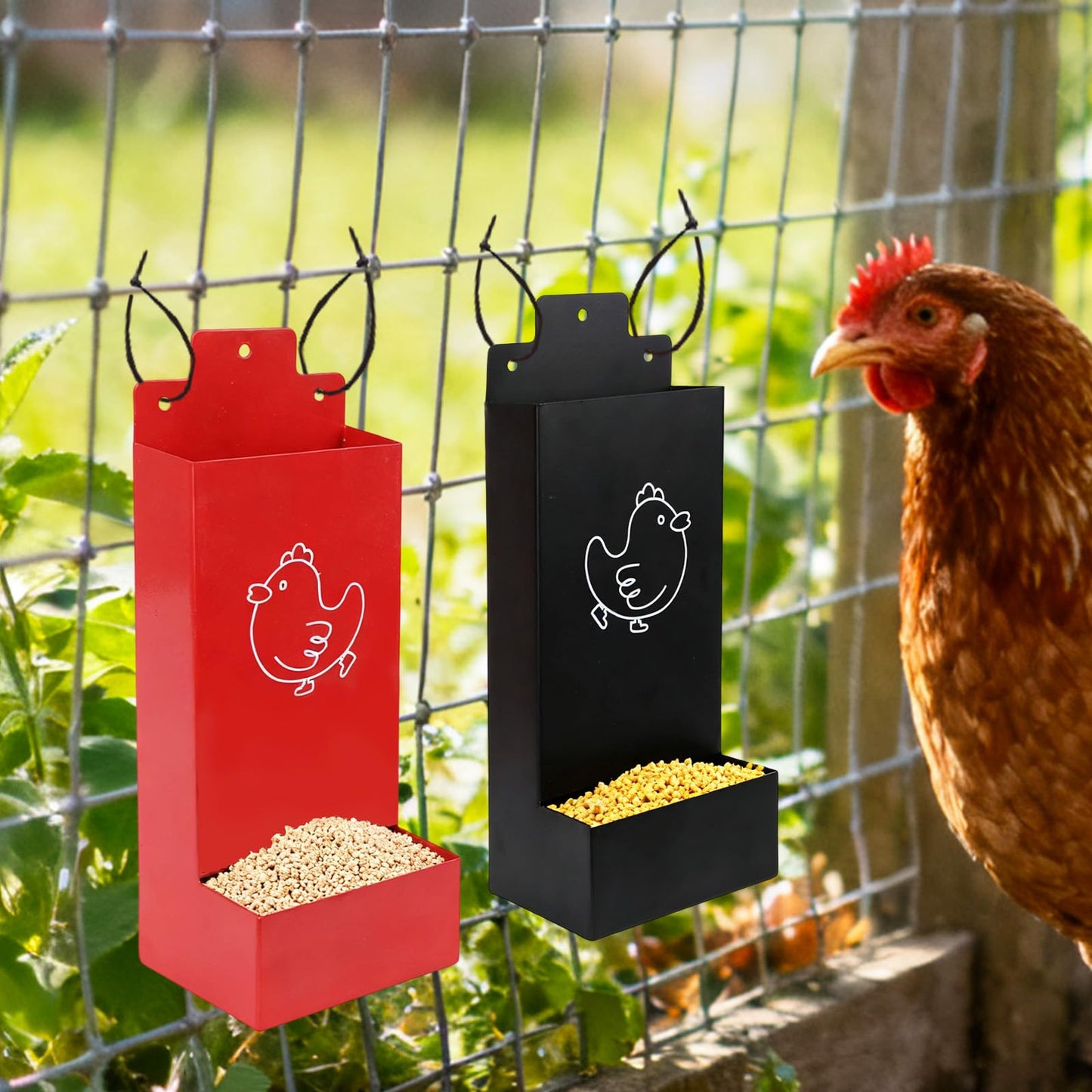 2pcs Chicken Oyster Shell & Grit Feeder, Metal Hanging Poultry Feeder Trough for Hens Durable Chicken Coop Accessories (Black & Red)