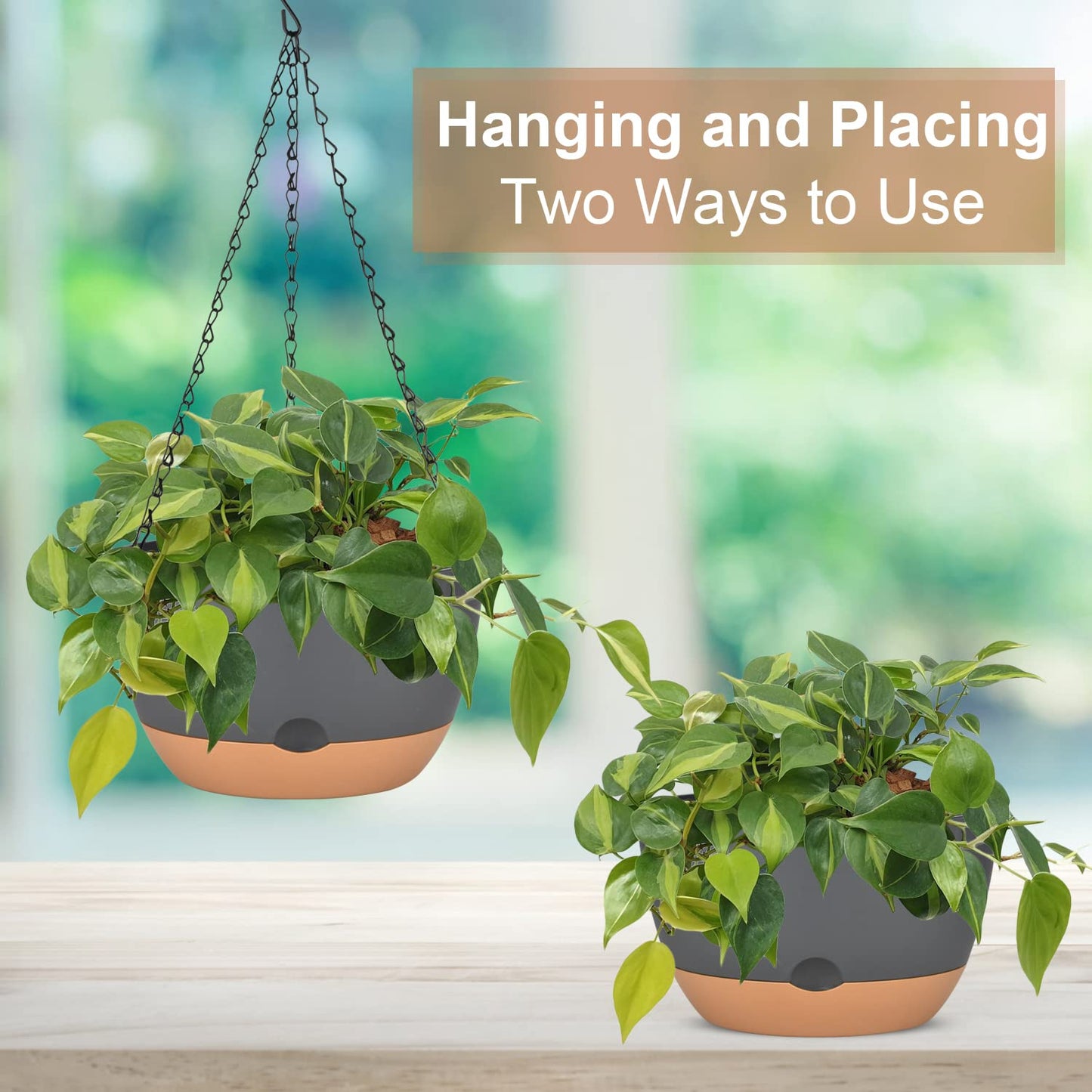 2 Pack Hanging Planters for Indoor Plants, Self-Watering Hanging Planter Holder with Pot, Drainage Holes, Removable Saucer for Garden Home (Black, 10 Inches)