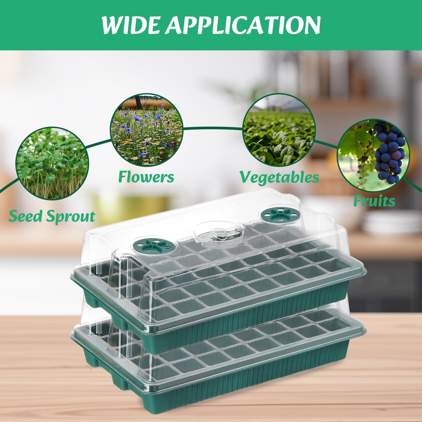 YOUEON 6 Pcs Green Seed Starter Tray with Dome and Base, 240 Cells Total Tray, Plant Germination Trays, Seed Starter Kit