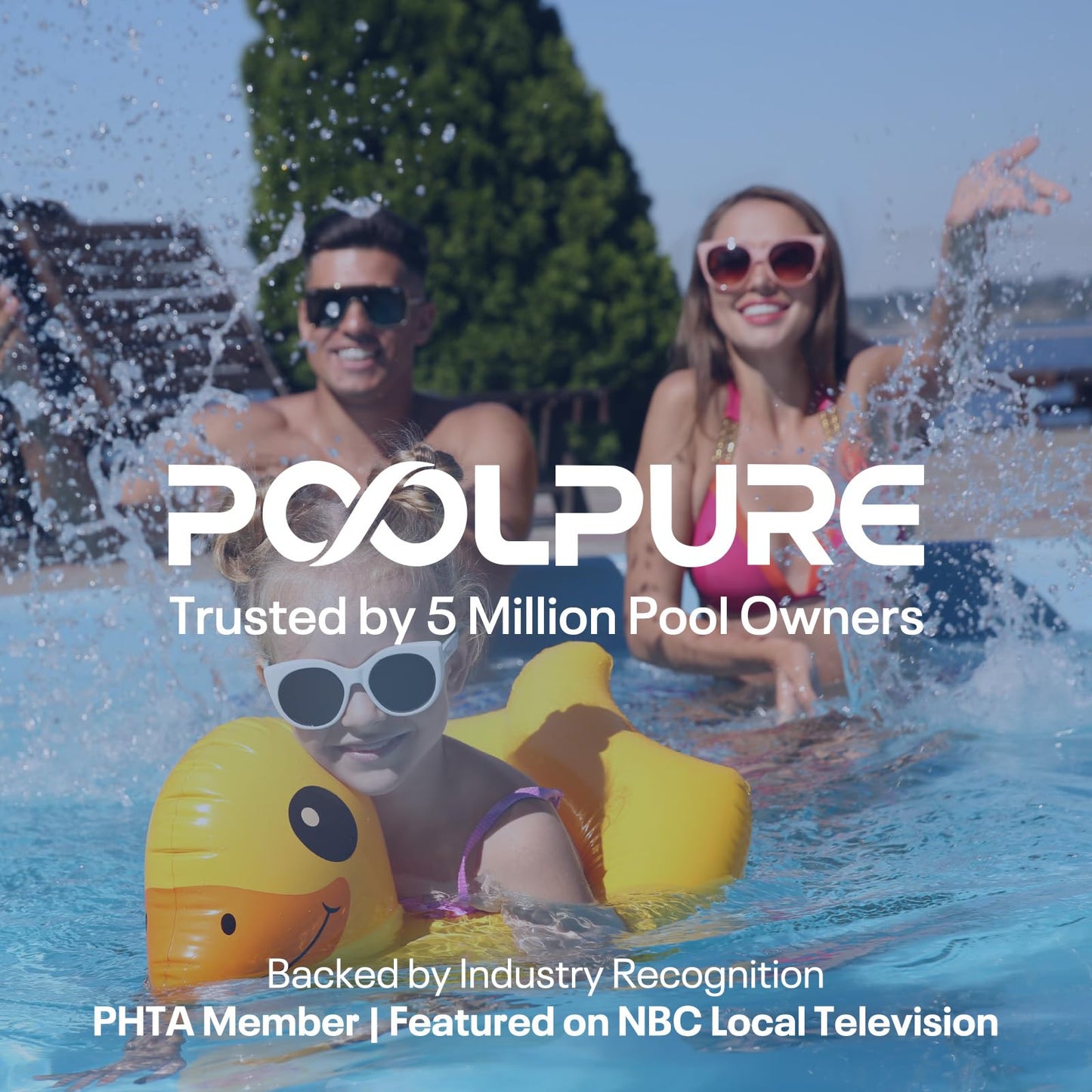 POOLPURE PDM28 Spa Filter Replaces Aquarest Dream Maker 461273 Hot Tub Filter (2 Count (Pack of 1))