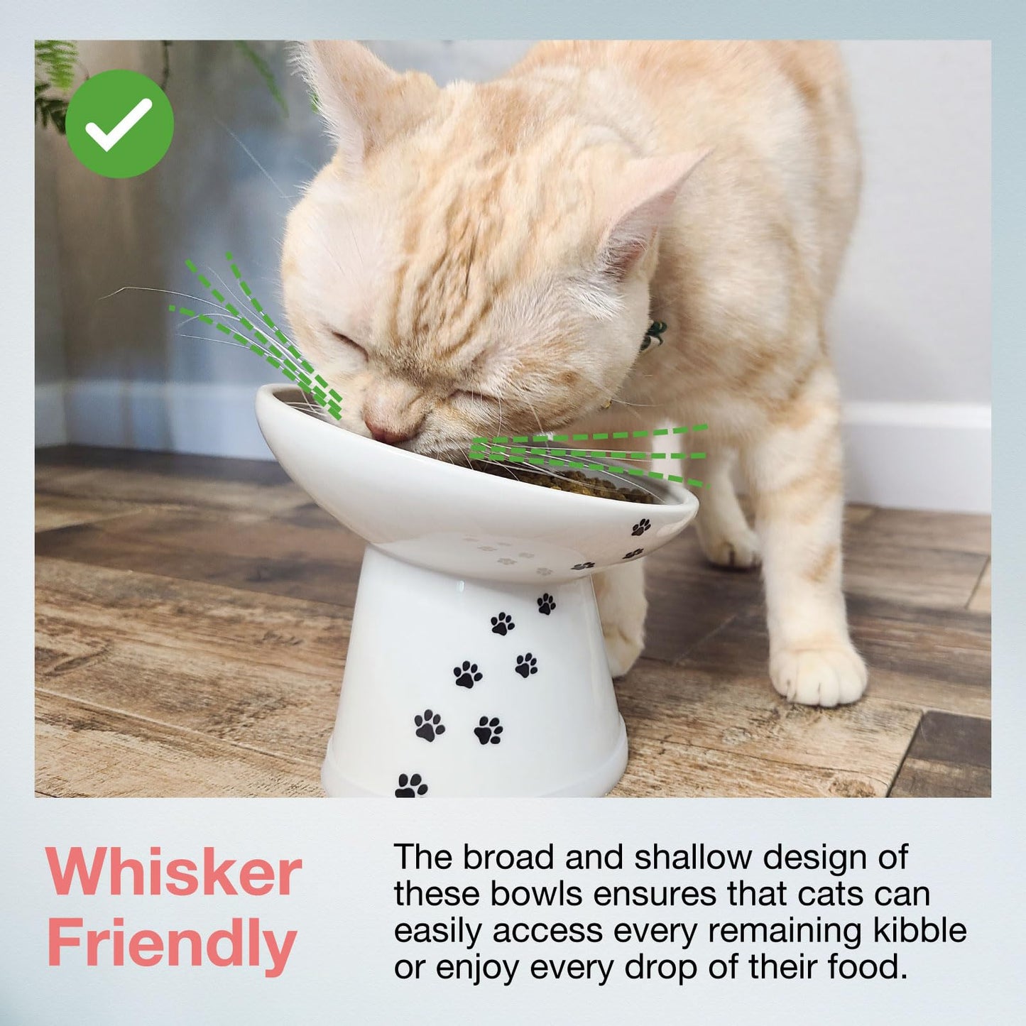 Necoichi Extra Wide Raised Cat Food Bowl (Cat, Extra Wide Tilted)