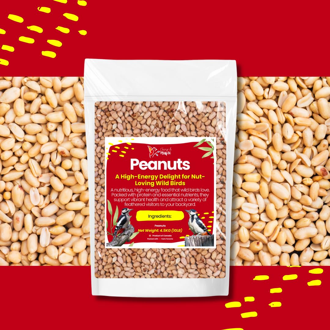 Chirp & Maple, Peanuts for Wild Birds, No Shell, Wild Bird Food, 4.5KG (10LB) Bag