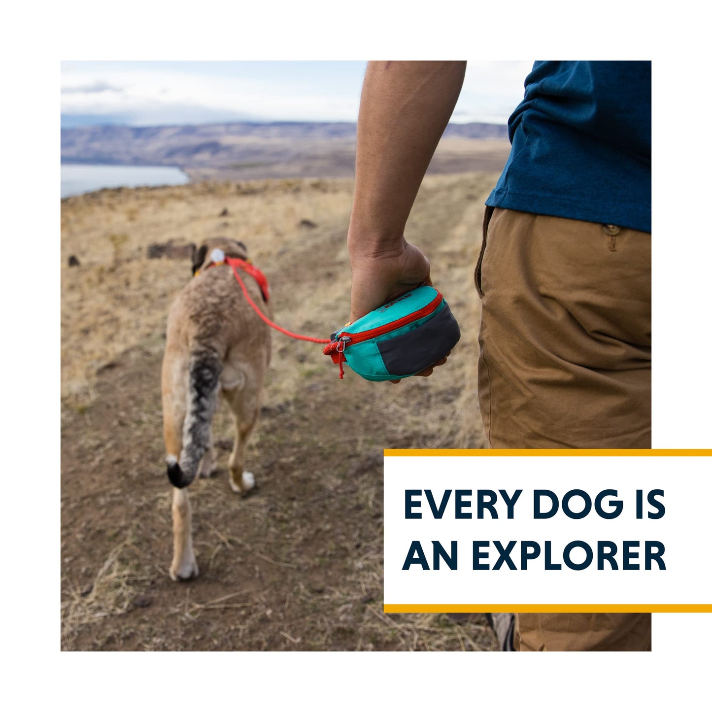 Ruffwear, Hitch Hiker Dog Leash, Adjustable Leash & Hitching System for Camping & Hiking, Slate Blue