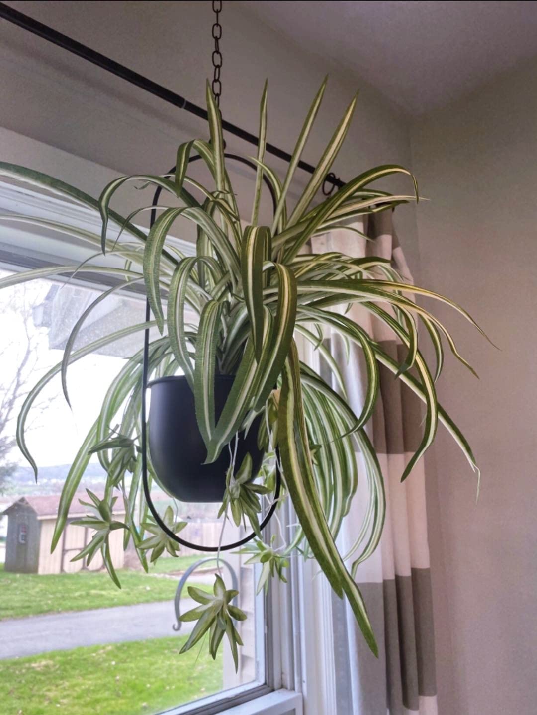 2 Pack Eco Joy Boho Metal Hanging Planters with 6" Pot (Detachable) + Hook | Hanging Planters Indoor, Modern Wall & Ceiling Planters, Mid Century Planter for Indoor & Outdoor, NO Plant incld…