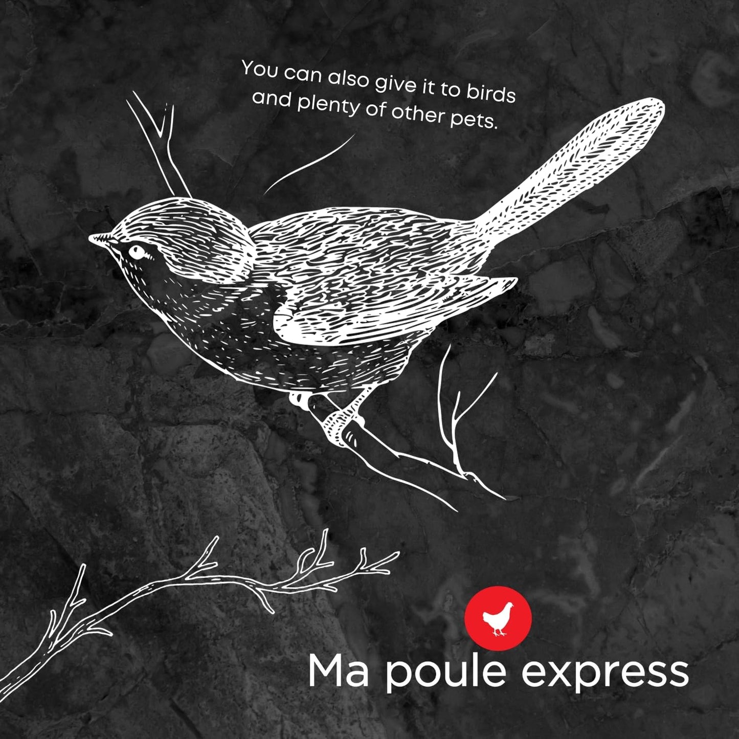 3 Lbs / 1,36Kg Ma Poule Express Dried Mealworms for Wild Birds etc. Approx. 48,000 Mealworms