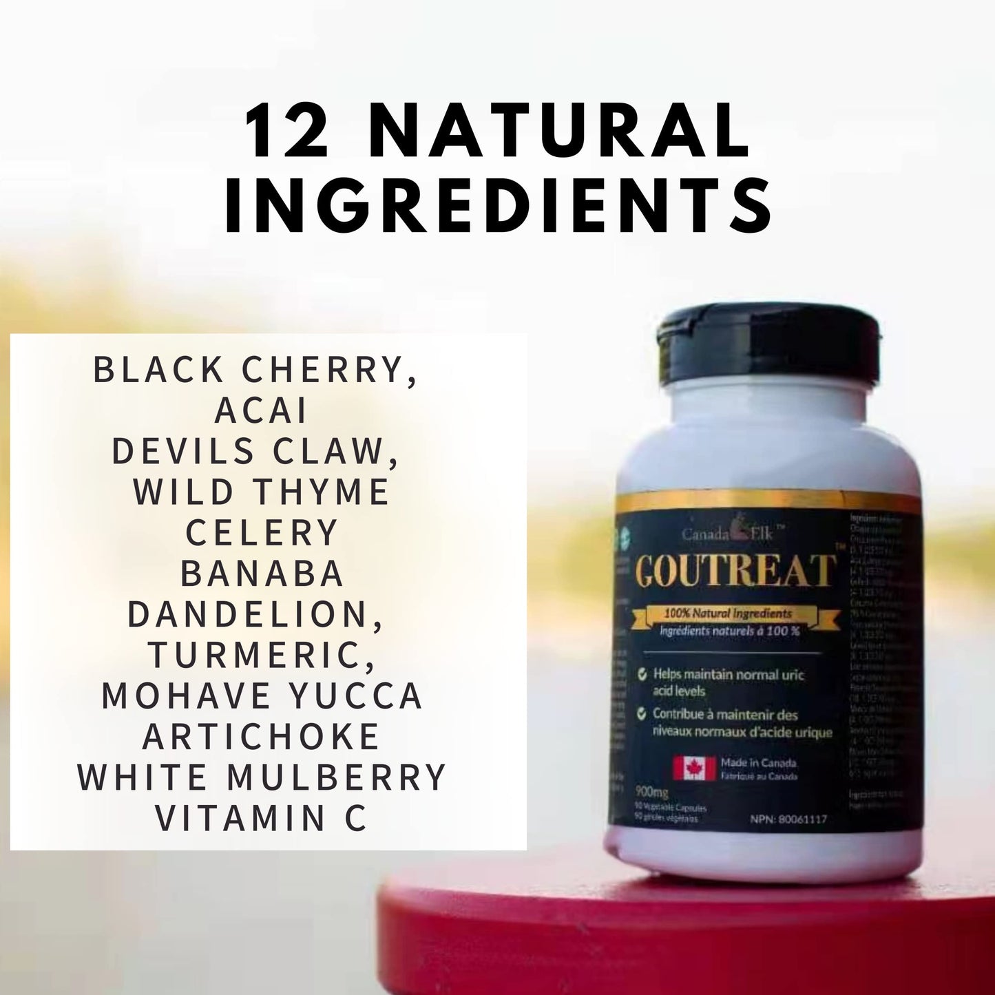 Canada Elk Goutreat - Canada's #1 Uric Acid Cleanser, Relieve the Pain and Inflammation Associated with Gout and Arthritis, 12 Natural Proven Ingredients, 270 Veggie Capsules