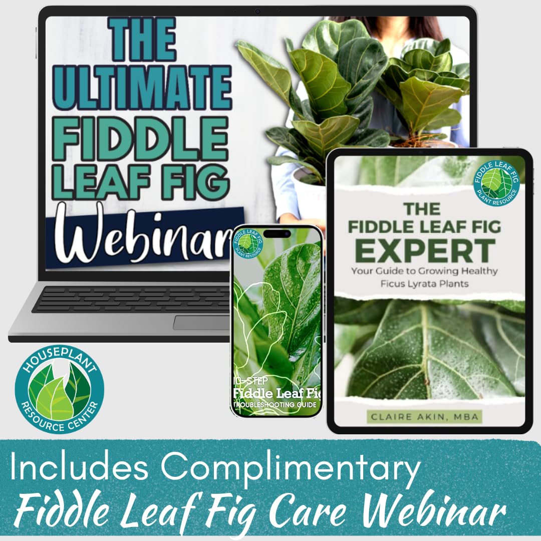 100% Organic Fiddle Leaf Fig Soil – Optimally-Draining Potting Mix for Healthy Roots, Fewer Brown Spots & Faster Growth | Enriched with Biochar & Bark | Large 7.5L Bag