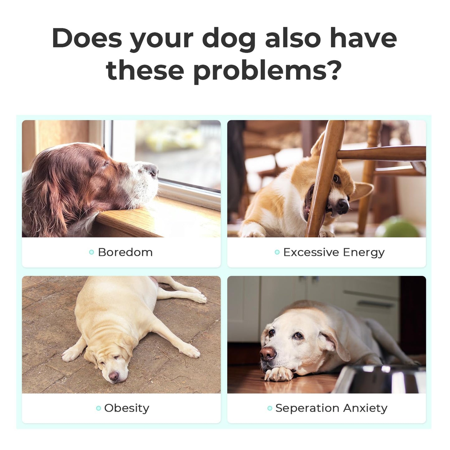 Cheerble Smart Interactive Dog Toys,[Enhanced Rubber] Wicked Ball SE with 3 Interactive Modes,Active Rolling Dog Toy with LED Lights,DC Rechargeable,Self Moving Bouncing Rotating Ball (Small Dog)