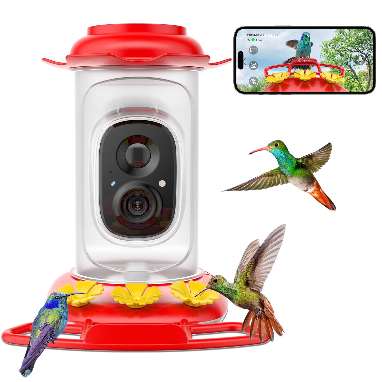 Hummingbird Feeder with Camera for Outdoors, Auto Capture & Identify Bird Species, Wide Mouth for Easy Filling with Built-in Ant Moat and Bee Guards, Ideal Gift for Bird Lovers