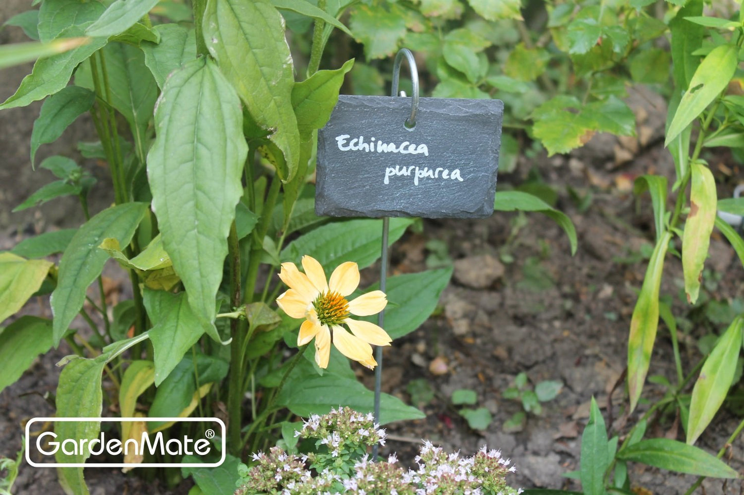GardenMate 10-Pack 22" tall Slate Plant Labels with Metal Rod - Slate tag 4"x2 3/4" - Natural Style