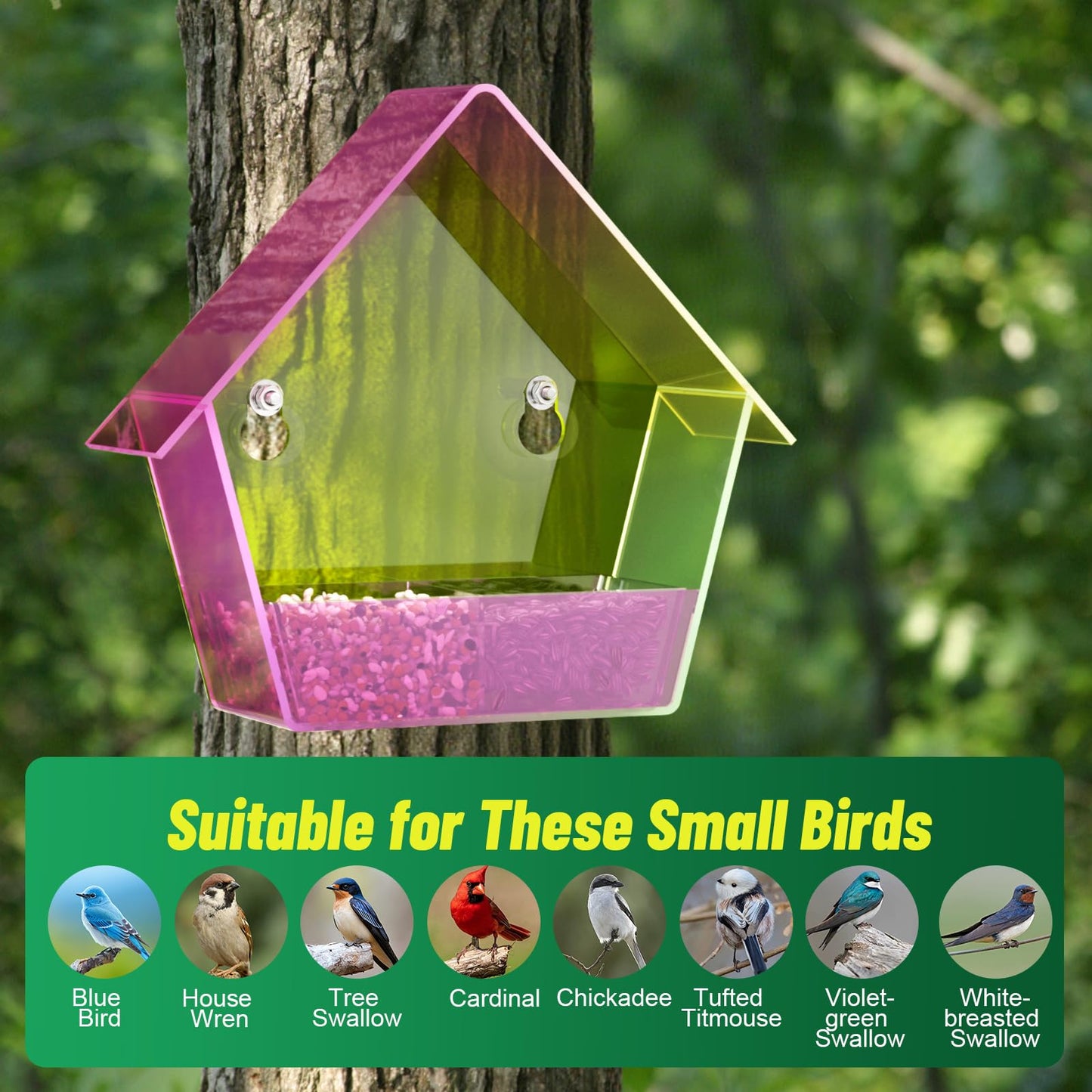 Window Bird Feeder with Strong Suction Cups, Outdoor Hummingbird Colorful Transparent Feeder for The Window, Waterproof Acrylic Birdfeeder with 2 Expansion Screws for Tree/Patio