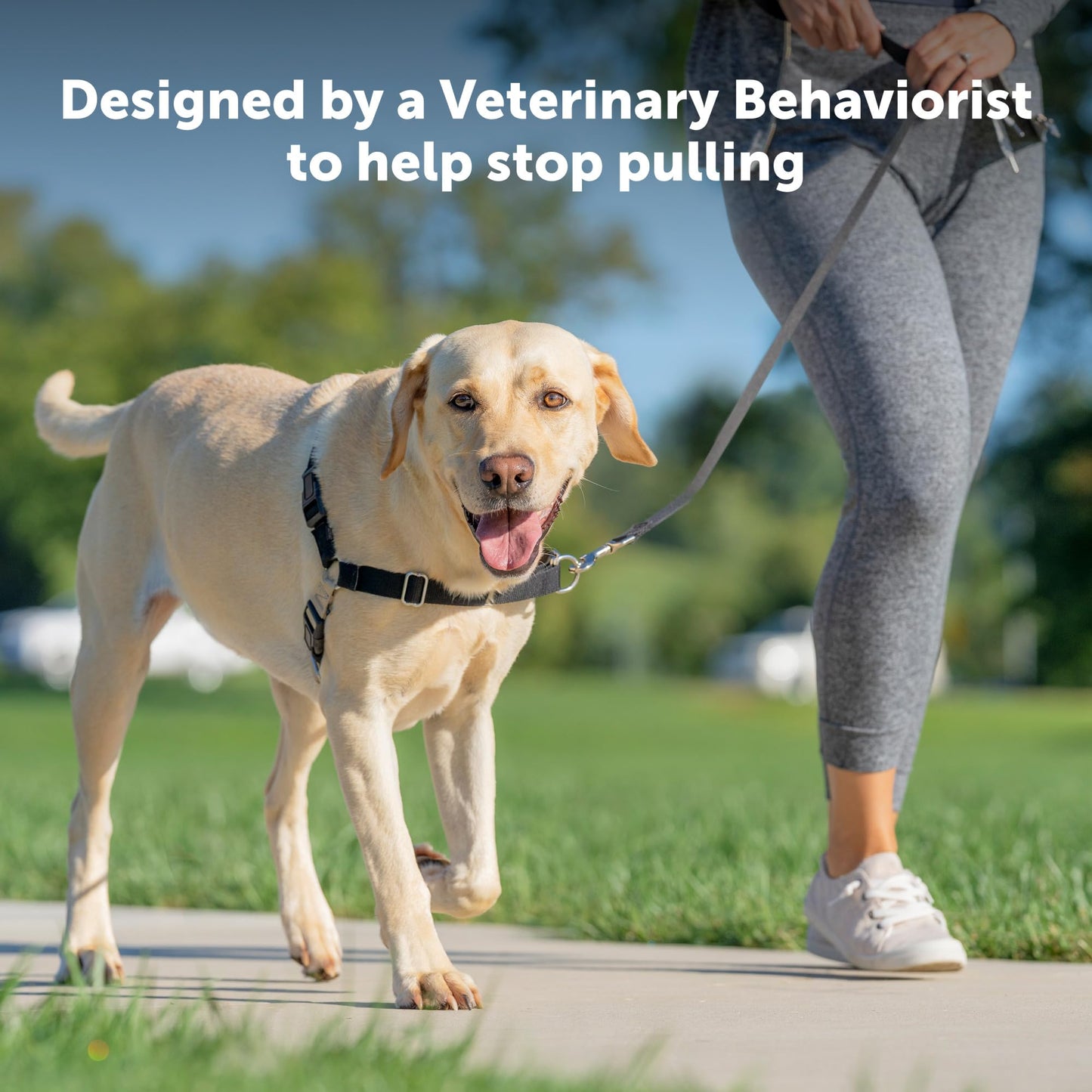 PetSafe Easy Walk Harness, No Pull Harness for Dogs, Adjustable Harness with Included Matching Lead Black Medium