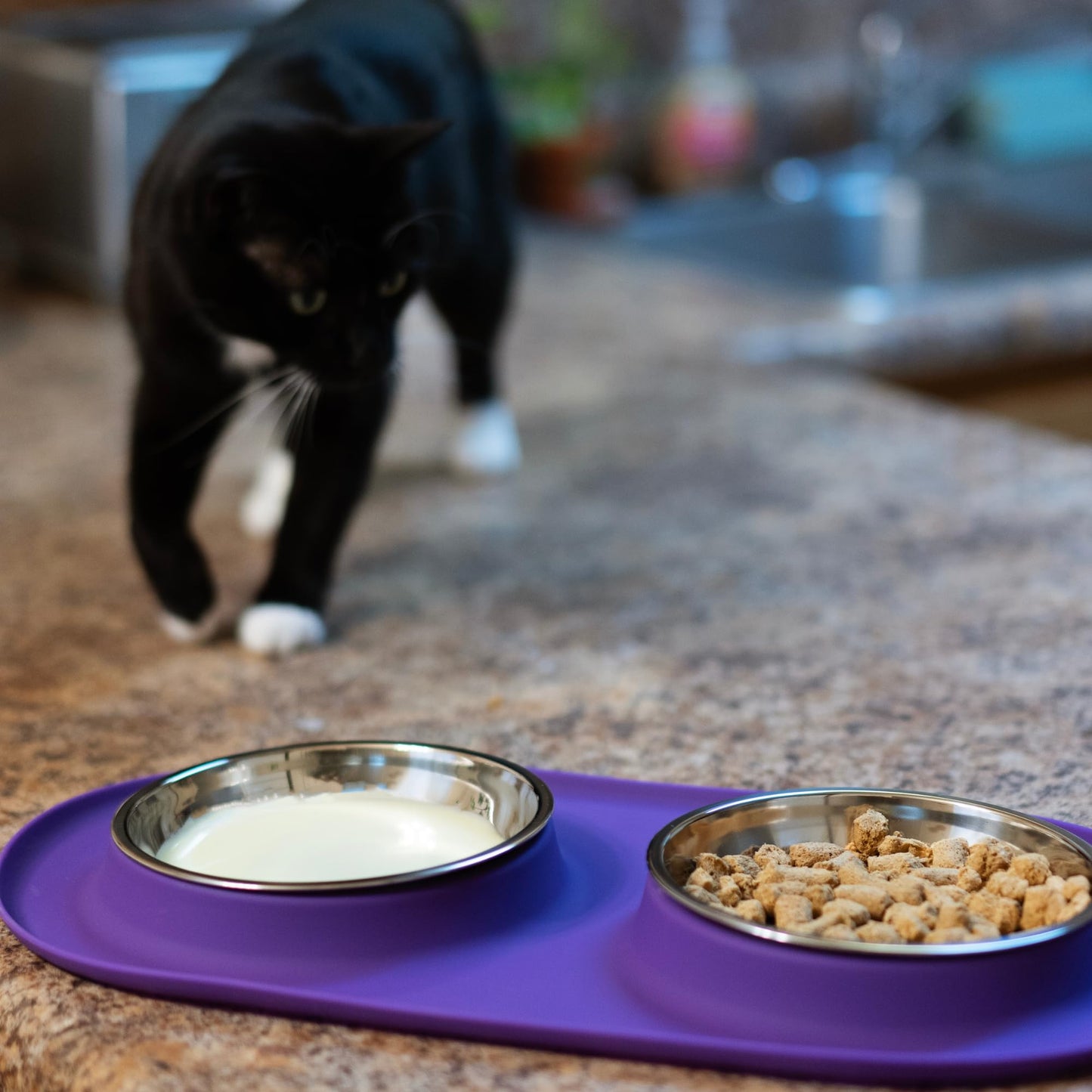 Messy Cats Double Silicone Feeder with Stainless Saucer Shaped Bowl | Anti-Slip Non-Skid Cat Food Bowls | Two Cat Bowls in Feeding/Water Station | 1.75 Cups per Bowl (Grey)