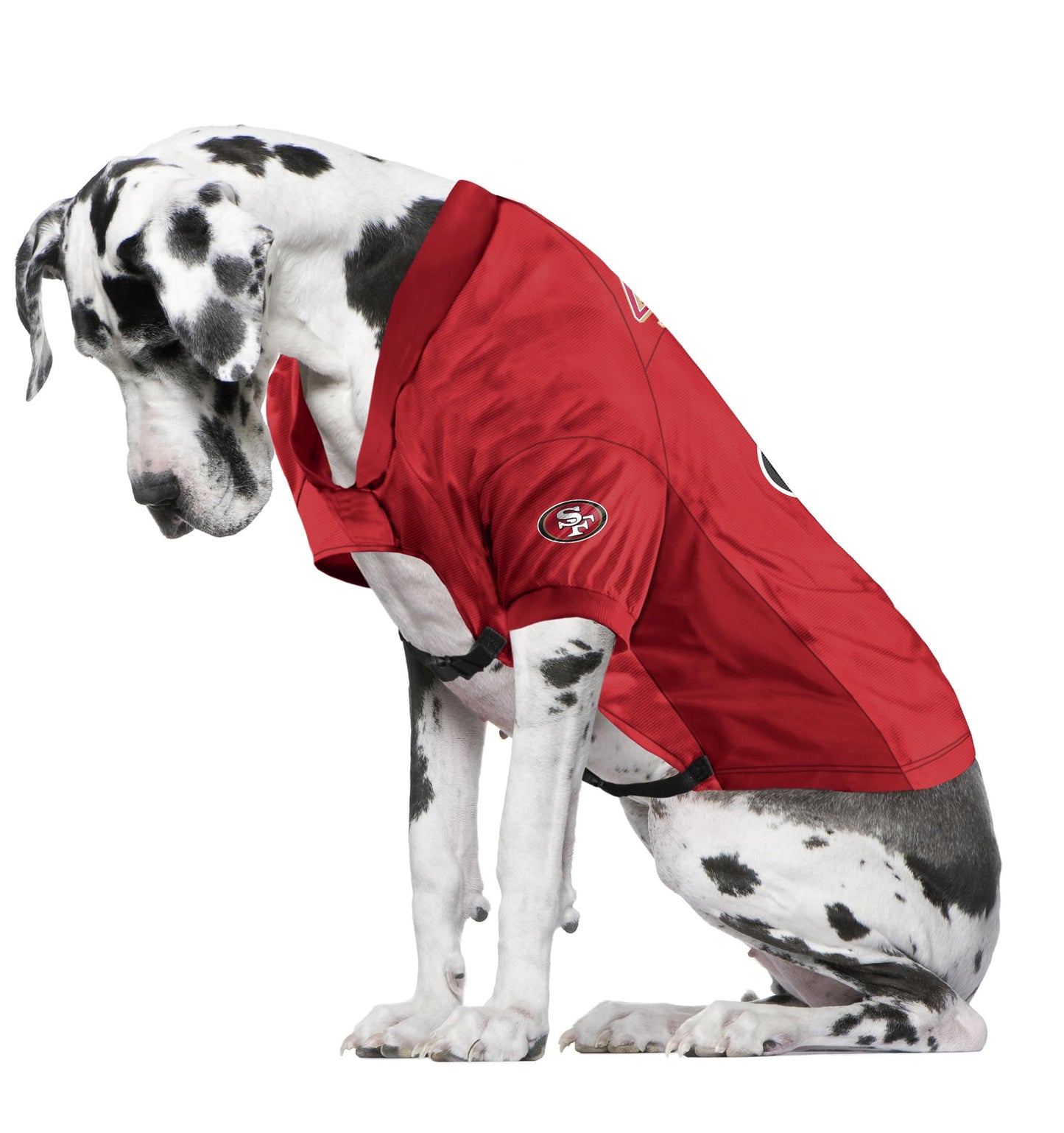 Little Earth 320156-49ER-BIG-1: Pet Stretch Jersey, San Francisco 49ers