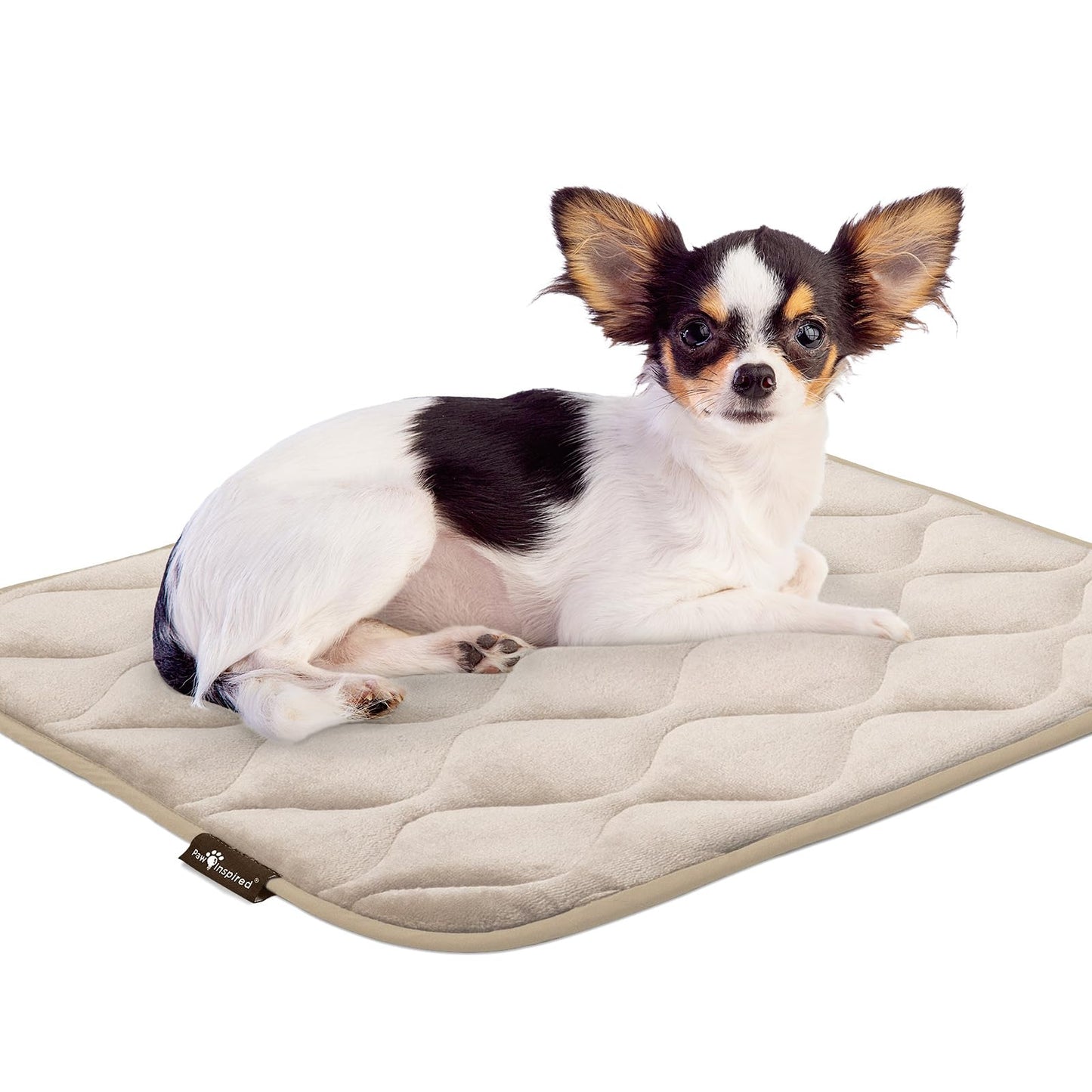 Paw Inspired Washable Padded Crate Mats for Dogs | 23” x 17” Size, Fits 24-inch Kennels | Leakproof, Reusable Plush Pet Pads (Tan)