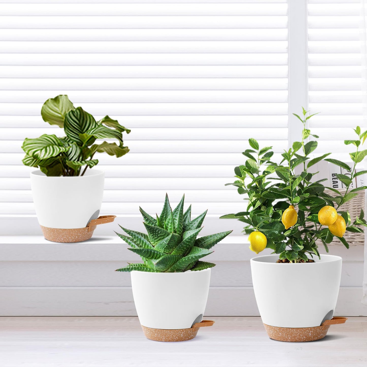 3 Pack Plant Pots Indoor 10/9/8 Inch Self Watering Planters for Indoor Plants Flower Pots for Indoor Plants with Drainage Holes and Saucer for Home Garden Indoor Outdoor(White)