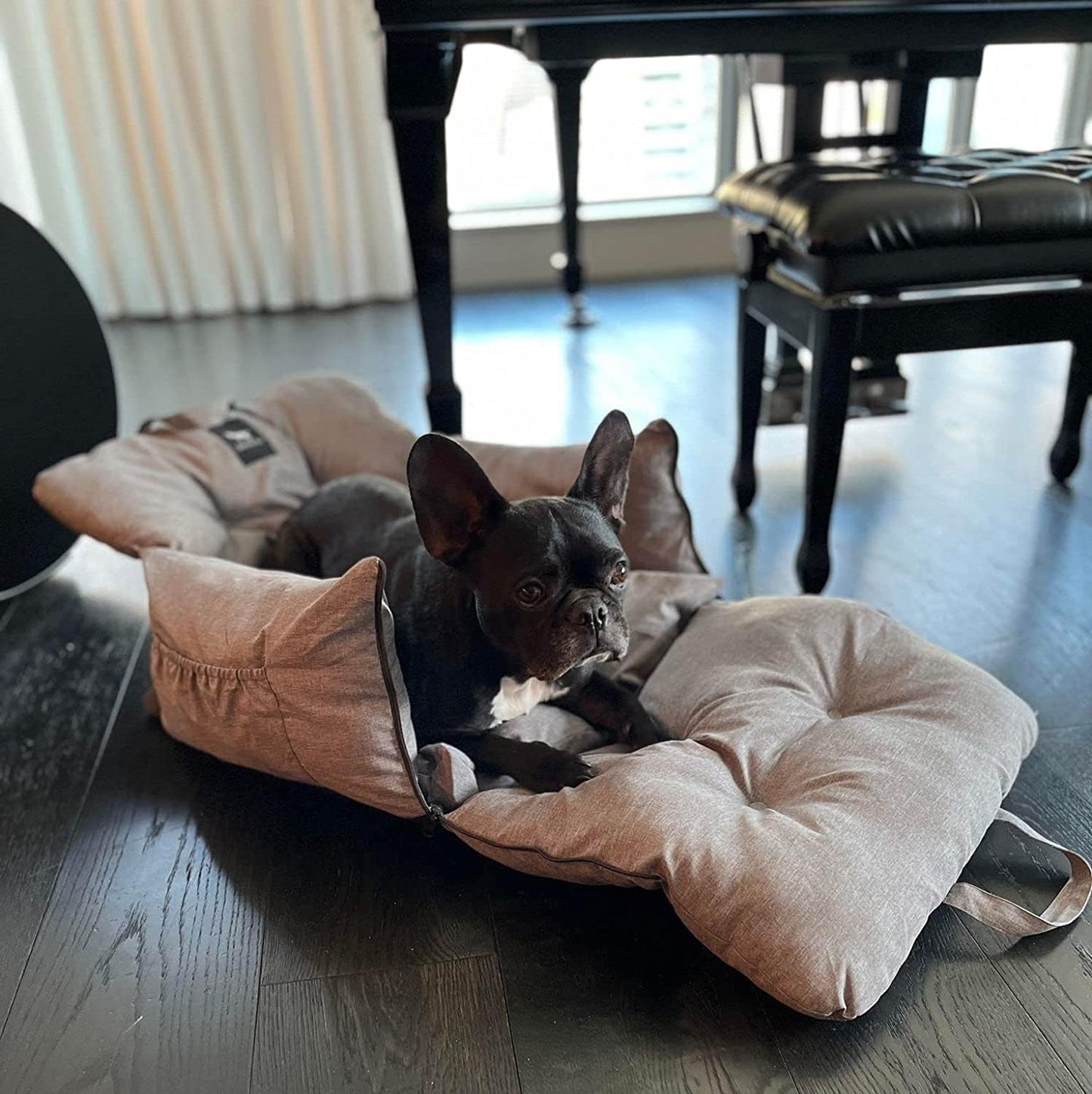 JACKO & CO - Premium Dog Car Seat Bed for Small & Medium Dogs, Soft Travel Bed & Carrier Bag for Pets, Puppies, Cats Front or Back Seat, Machine Washable & Water Resistant (Black, V1 Small (1-25lbs)