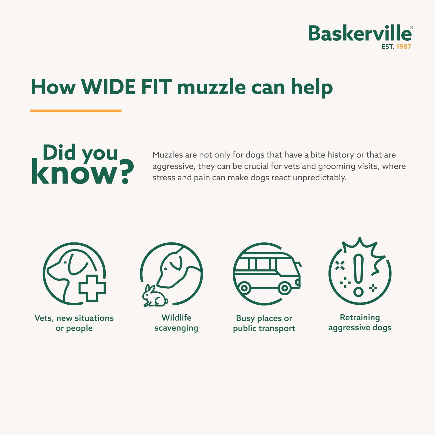 Baskerville Wide Fit Muzzle - for Large Broad Nosed Dogs, Boxer, Rottweilers, Breathable, Dog can Pant and Drink, Prevents Biting, Dog Training Muzzle for Medium and Large Dogs (Size 2)