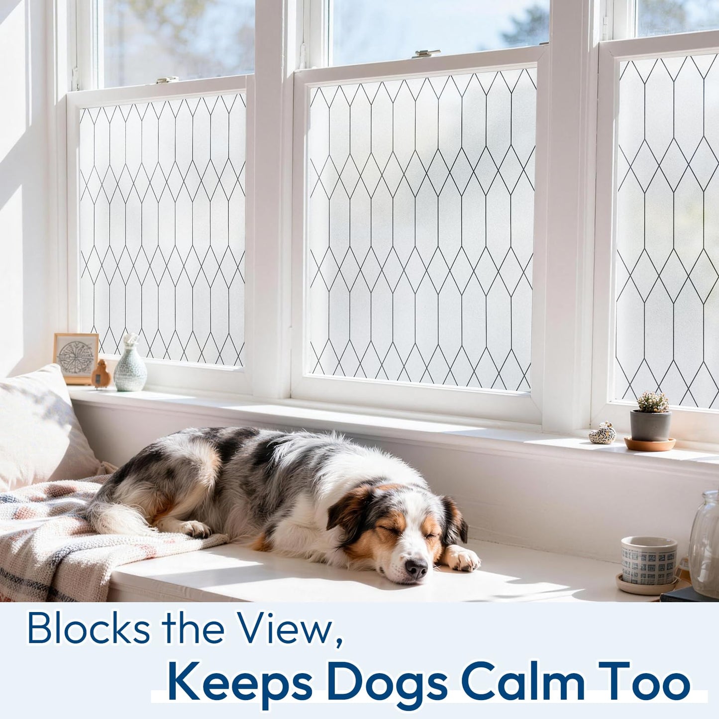 rabbitgoo Window Films for Privacy, Static Cling Frosted Glass Stickers, Non-Adhesive Removable Decorative Window Coverings, Anti-UV Heat Control for Bathroom Home Office Glass Door, 60x200cm