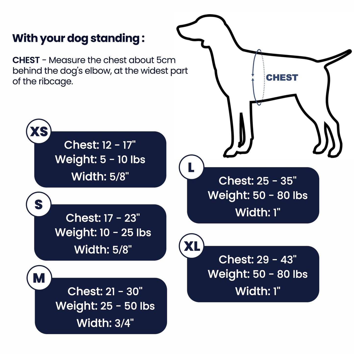 LufeLux Non-Restrictive Dog Harness, Easy Walk Freedom No Pull Harness, Keep Balance, Neck-Buckle, Six Points Adjustment, 2 Leash Clips for Back and Front Clip (Black/Grey, X-Large)
