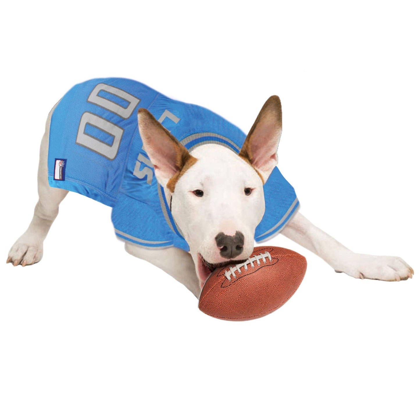 NFL Detroit Lions Dog Jersey, XX-Large