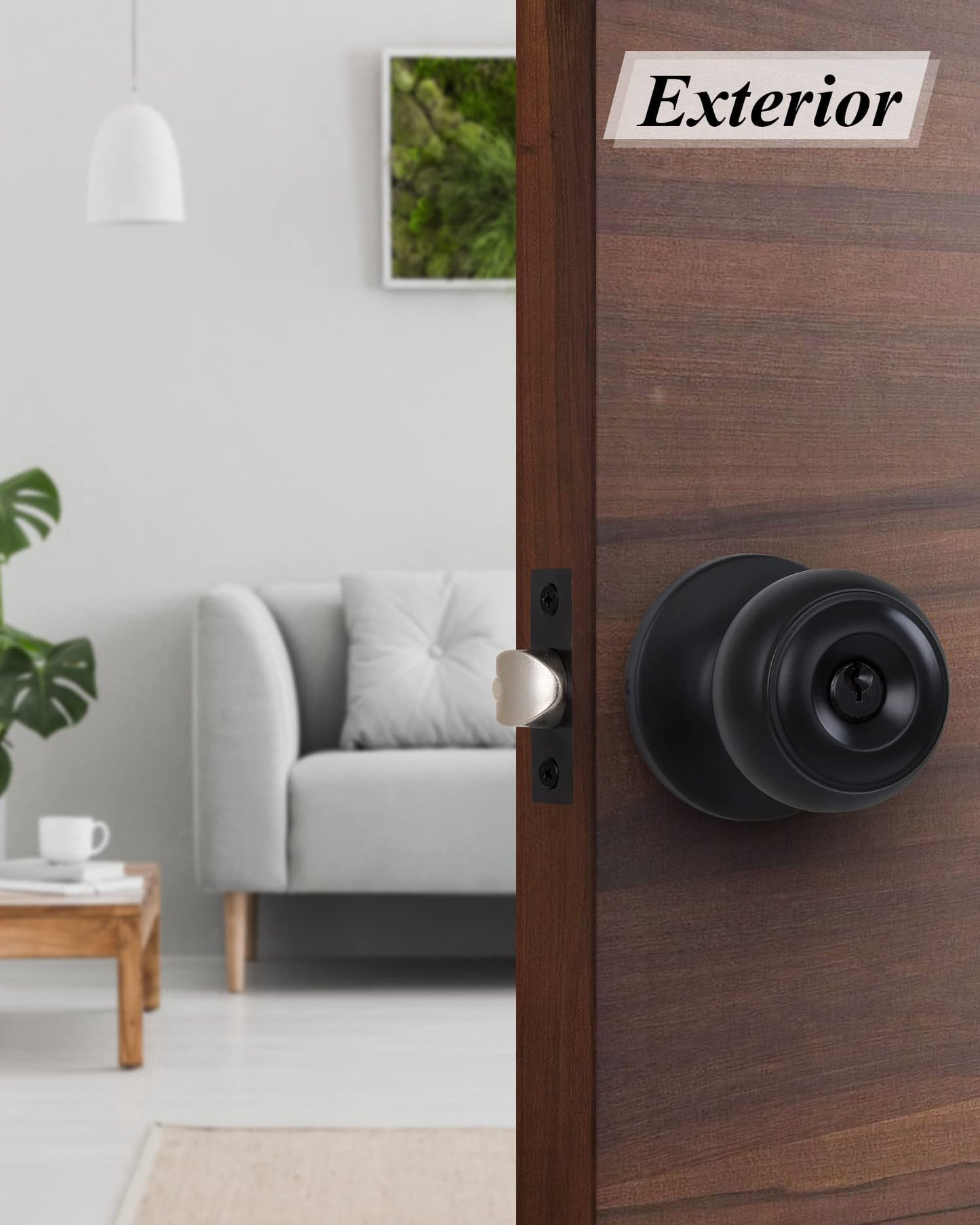 (2 Pack) Entry Door Knobs with Lock and Keyed Alike, Interior/Exterior Flat Ball Door Locks for Bedroom/Bathroom/Front/Offic Doors, Matte Black Finish