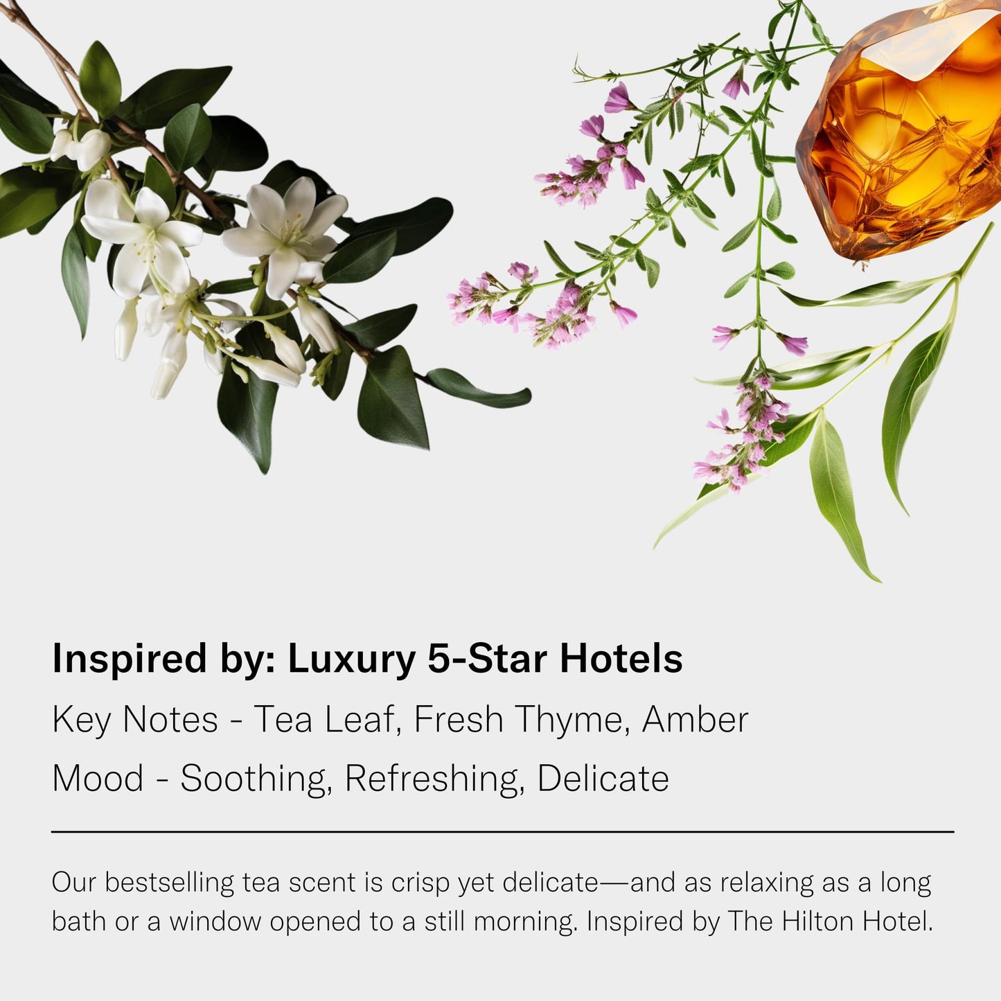 AromaTech White Tea & Thyme Premium Aroma Oil – Crisp & Delicate Home Fragrance with Notes of Tea Leaf, Fresh Thyme & Amber for Scent Diffusers, Cold-Air and UltraSonic Scent Machines – 120 mL