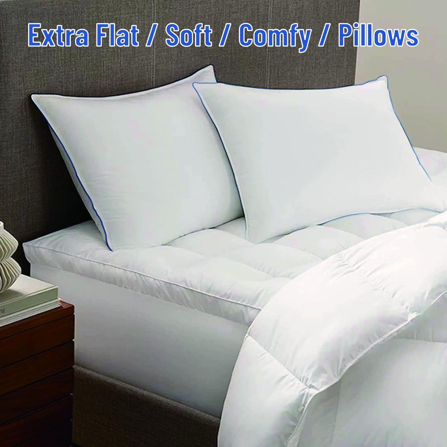 SILUI Flat Soft Thin Pillows Queen Size Set of 2 Pack Bed Pillow with Down Alternative Fill for Side Back Stomach Sleepers, 20x30 Inches