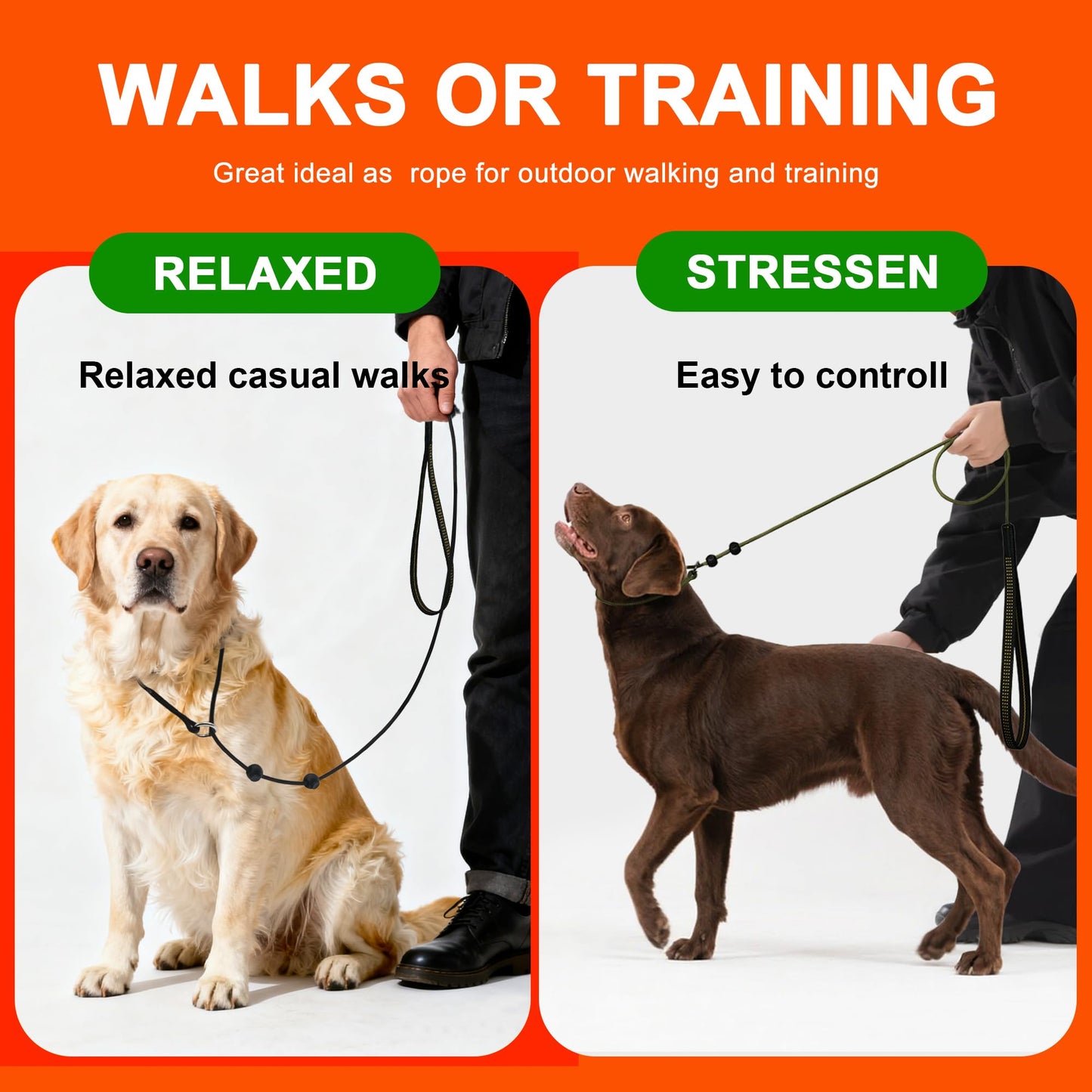 BeauGo Slip Leads for Dogs,Top Speed Training Dog Leash,2-in-1 Slip Collar Dog Training Lead & Collar,6ft Thin Slip Lead,sturdyand Durable, Leash Suitable for Small, Medium, and Large Dogs((Blue)