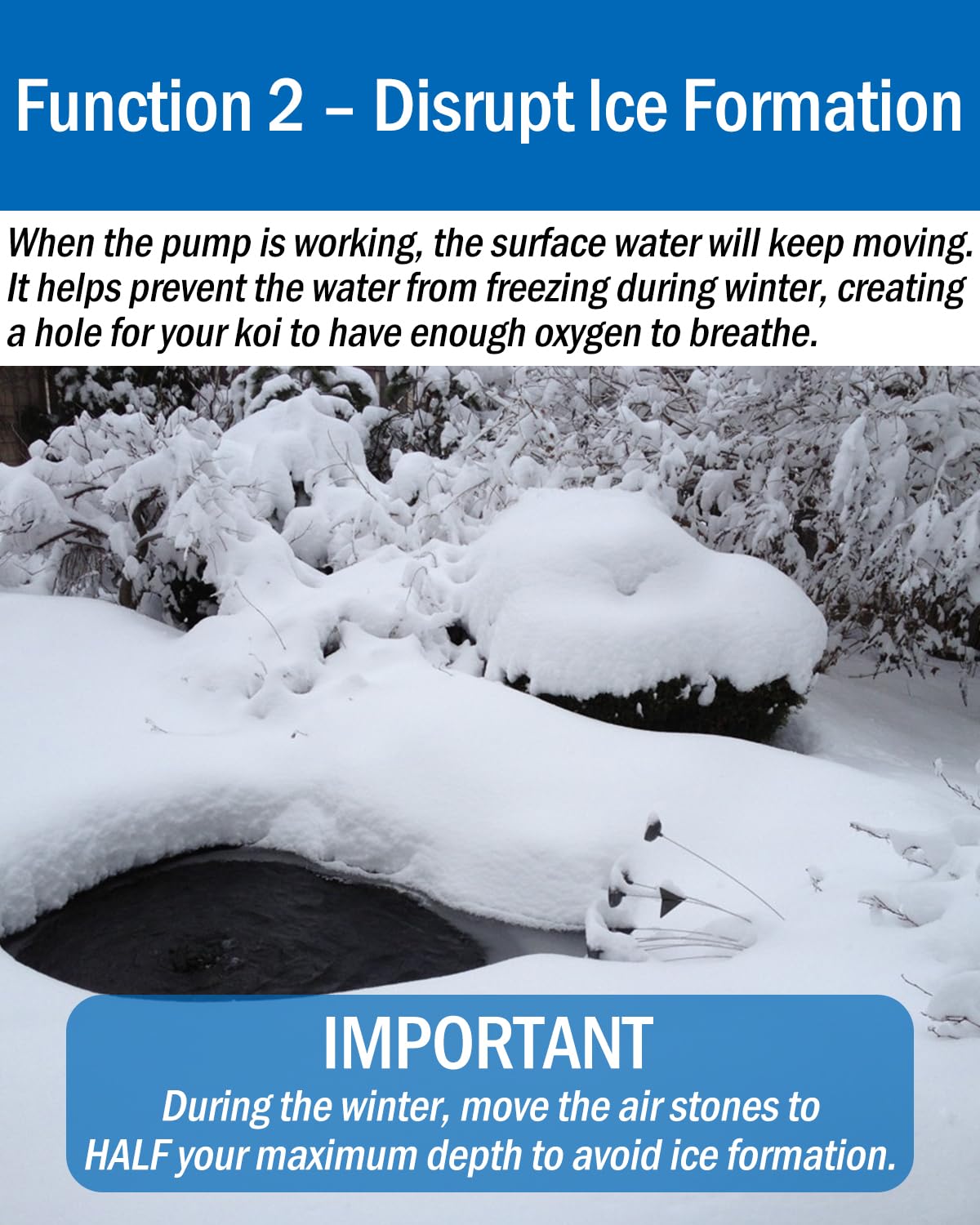 AquaMiracle All-in-One Koi Pond Aerator for Outdoor Ponds up to 1000 Gallons, Pond Air Pump Pond Aeration System with Double Outlet Airline Tubing Air Stones Check Valves