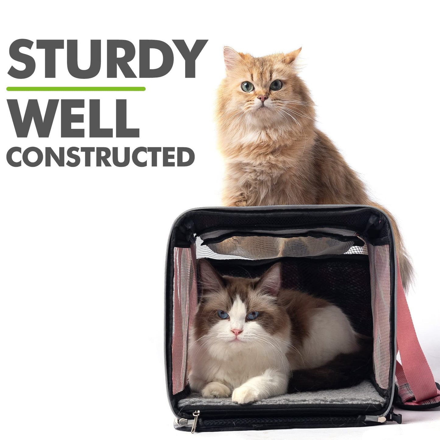 EXPAWLORER Large Cat Carrier for 2 Cats, Soft-Sided Pet Carrier for Cat,Top Load Cat Carriers for Medium Cats Under 25, Airline Approved Pet Travel Bag Fit 2 Kitties Small Dogs