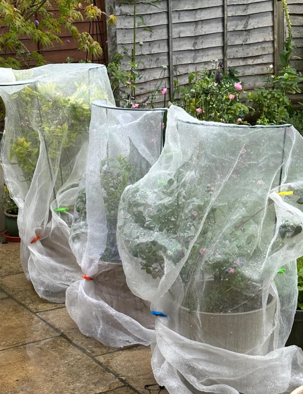 8Pack 56×25cm Plant Support Stakes With 50m Plant Ties, Metal Garden Plant Stakes, Half Round Indoor Outdoor Support Ring Cage for Peonies Monstera Hydrangeas Roses Vegetables Tomatoes Tulips Lavender
