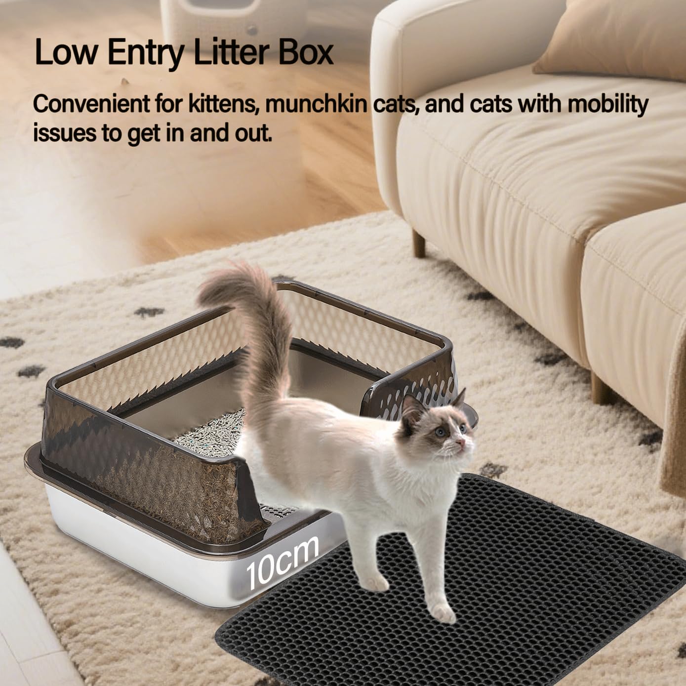 Kittenhood Low Entry Enclosed Stainless Steel Cat Litter Box with Lid Scoop and Pads, 50cm* 35cm* 20cm Transparent Black Standard Easy Clean Metal Kitty Kitten Litter Box
