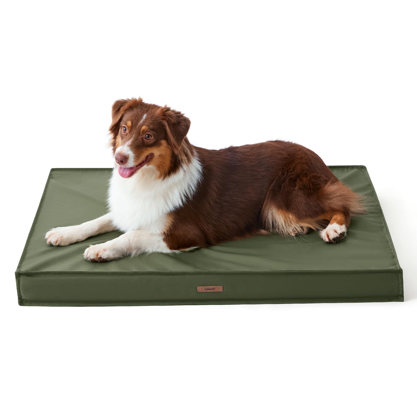 Lesure Outdoor Dog Bed for Medium Sized Dogs, Orthopedic Waterproof Egg Crate Foam Pet Bed with Oxford Fabric Surface and Removable Machine Washable Cover, 76 x 51 CM, Green