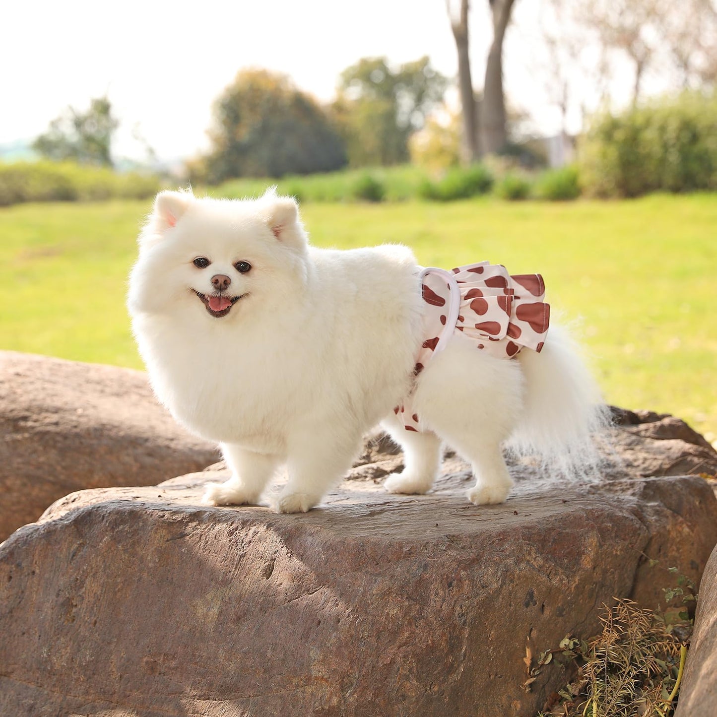 Reusable Dog Diapers Female 3 Pack Doggie Diapers for Period Heat Incontinence Puppy Training (Medium, Animal Print)