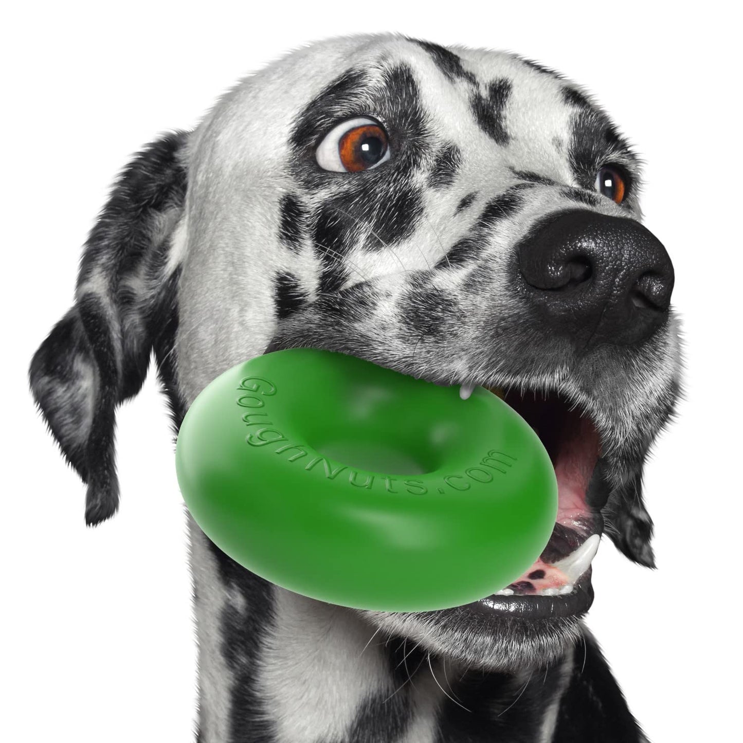 Goughnuts Original Medium Dog Chew Toy Ring for Aggressive Chewers from 30-70 Pounds in Green. Durable Rubber Dog Chew Toy for Medium Breeds and Power Chewers