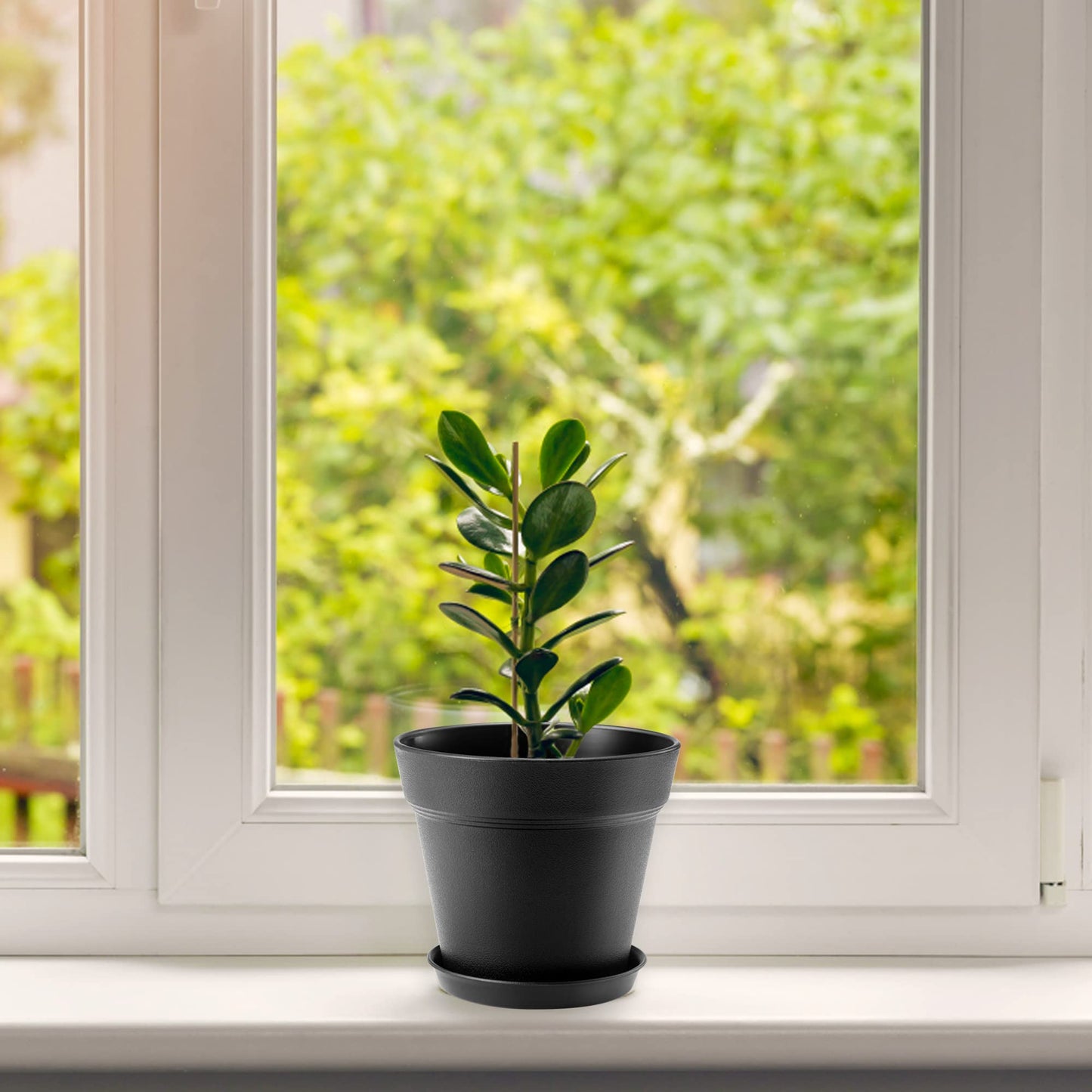 6 inch Plastic Plant Pots with Drainage Holes and Tray, 10 Pack Thickened Indoor Planters Seedlings Nursery Pots for Flowers, African Violet, Succulent and All House Plants, Black