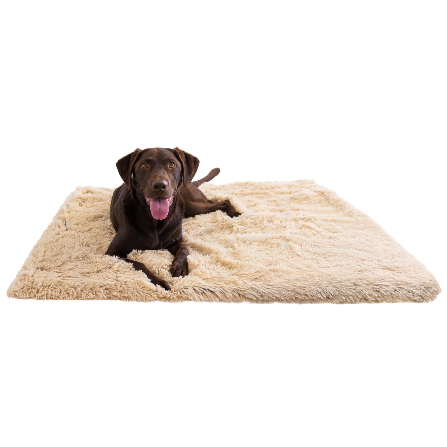 Best Friends by Sheri Calming Shag Dog Blanket, Taupe, 40" x 50"