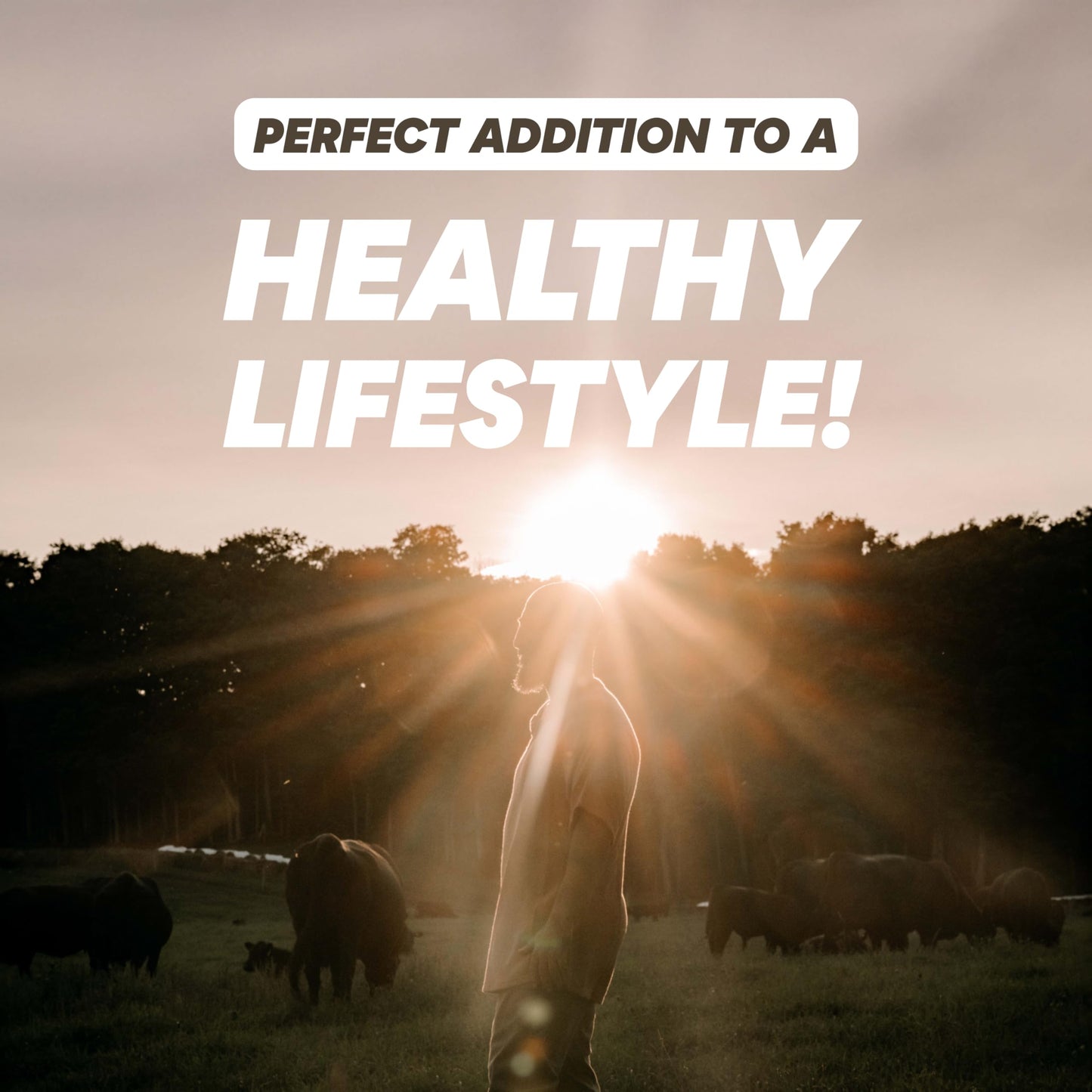 Broya Tallow Sun Balm – Mineral Face & Body Balm with 20% Non-Nano Zinc Oxide – 100% Grass-Fed Beef Tallow Moisturizer – Skin Support with Vitamins A, D, E, K – Fragrance-Free – 2 fl oz