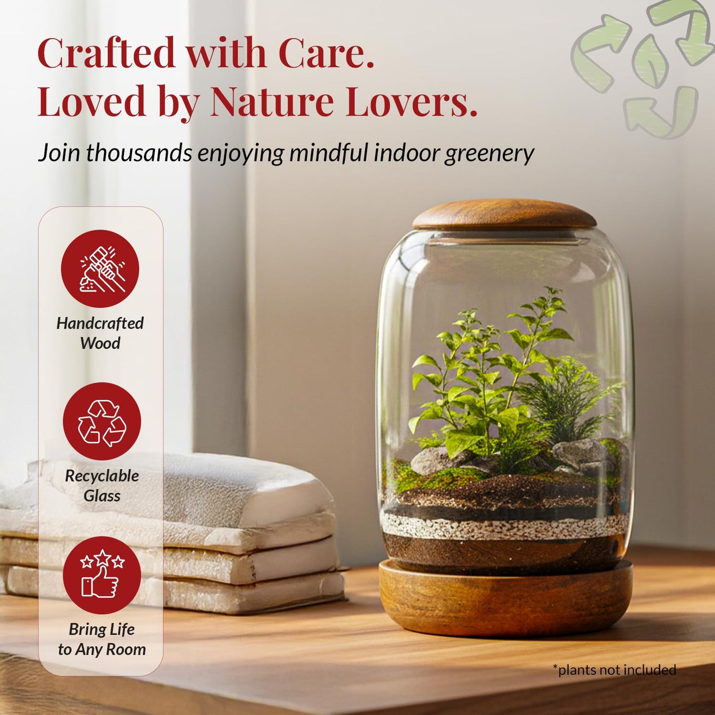 NoctisCorvus: Exclusive Glass Terrarium, Beautifully Enhanced by a Natural Wood lid and Base. Excellent for Plants and Betta Fish Tank. for Home and Office. Size: 6.3 Diameter by 8.7 Tall (Inches)