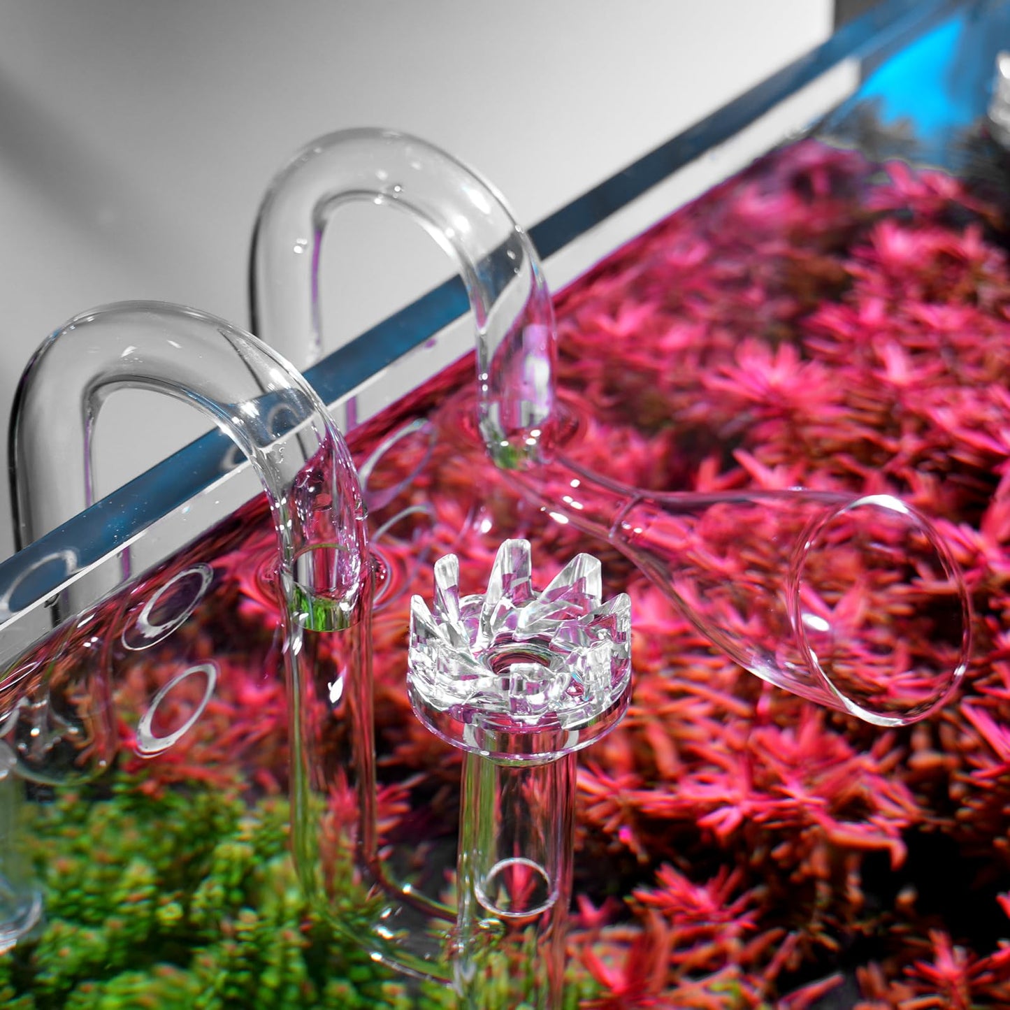 FZONE Aquatic Glass Lily Pipe Set with Lily Skimmer Inflow and Lily Outflow for Aquarium Filter 5/8''(16/22mm) Tubing