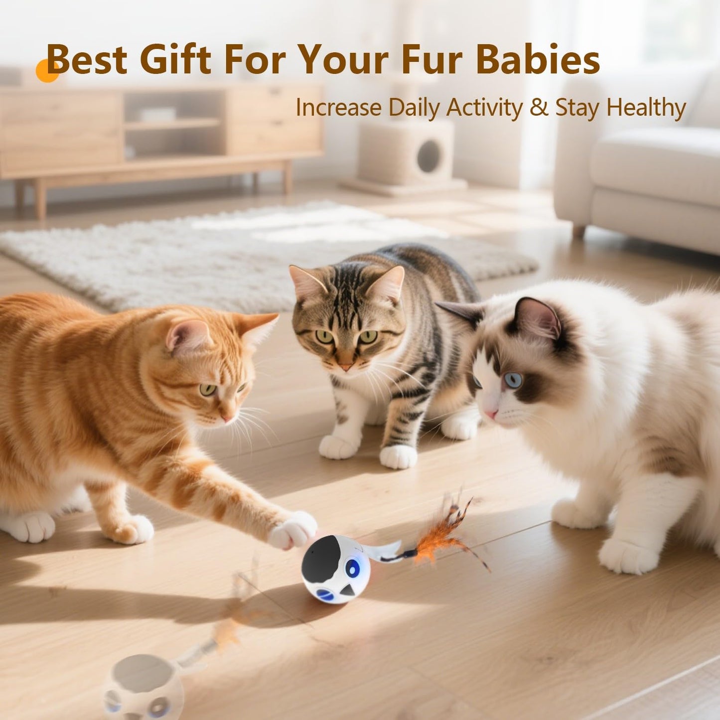 ORSDA Cat Toys, Interactive Cat Toy Ball for Indoor Cats, Automatic Moving Ball Bird Toy for Bored Indoor Adult Kitten, Motion Activated Fast Moving Chirping Stimulating Light, 2 Feather Tails